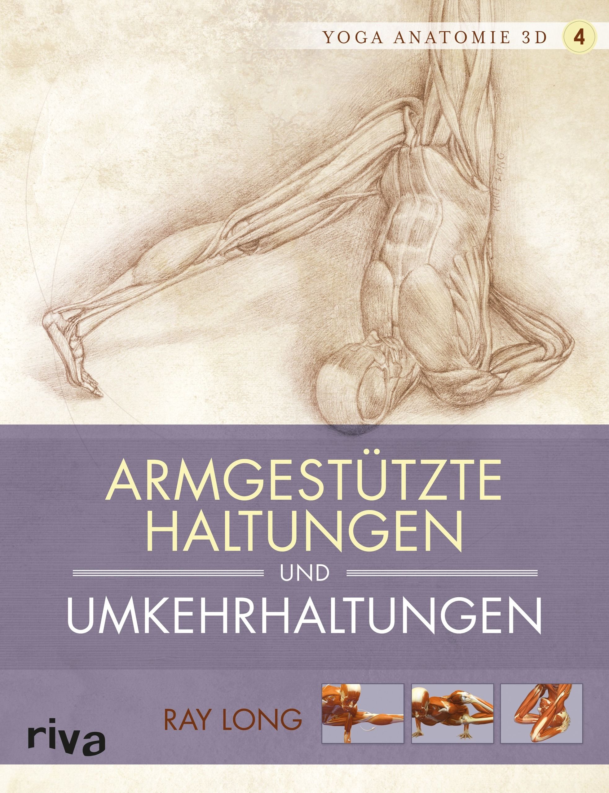 Buchcover mit anatomischer Zeichnung. Titel: Armgestützte Haltungen und Umkehrhaltungen. Autor: Ray Long. Verlag: riva. Yoga Anatomie 3D.