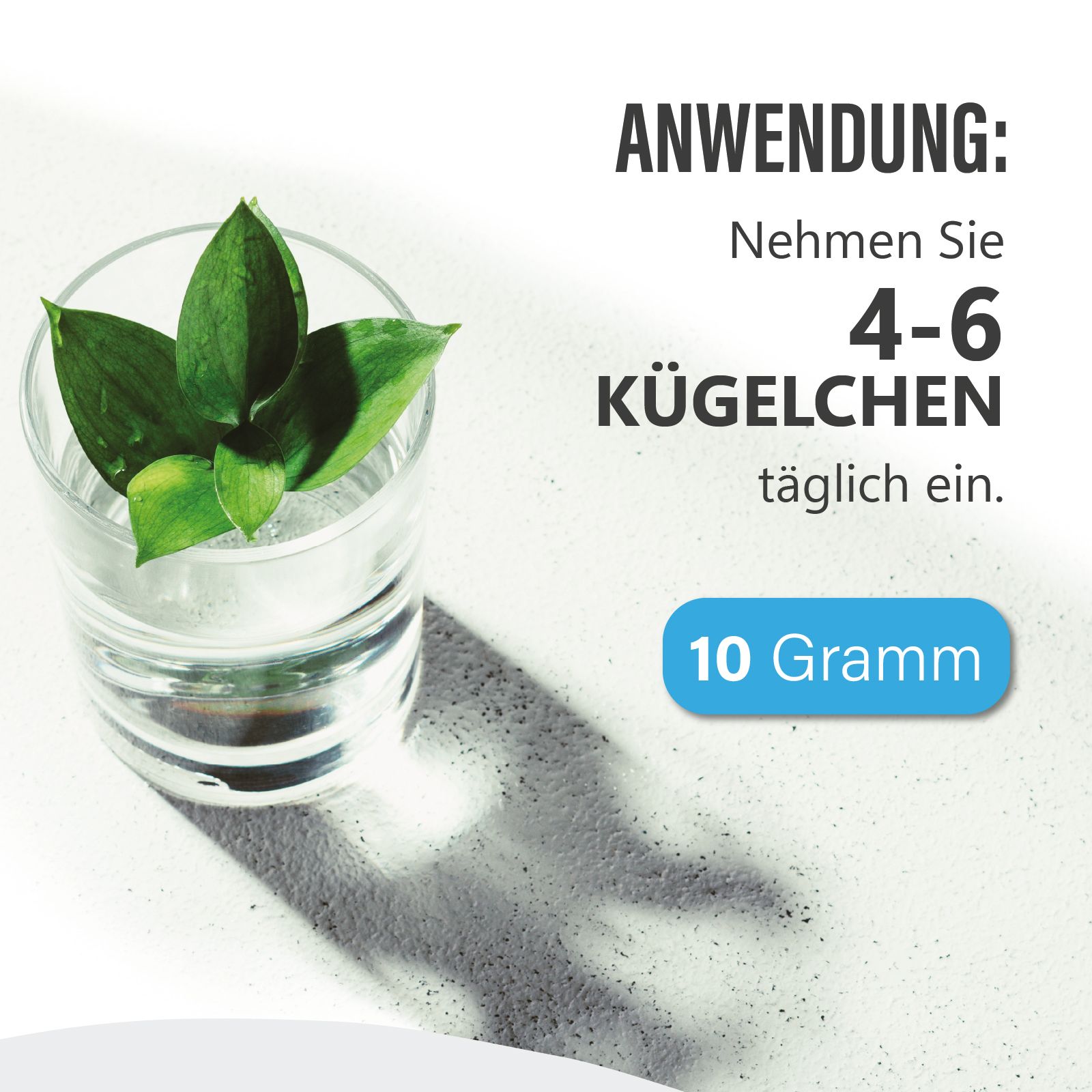 Glas mit Wasser und Blättern. Text: Anwendung: 4-6 Kügelchen täglich einnehmen. 10 Gramm.