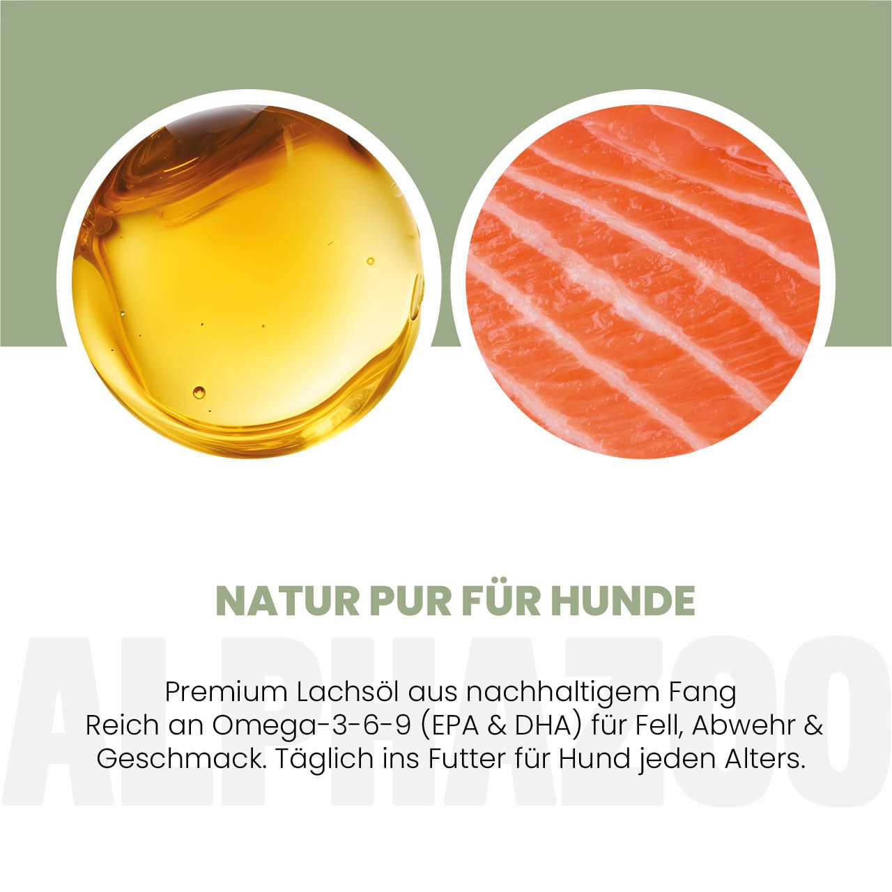Zwei Kreise: Öl und Lachs. Text: Natur pur für Hunde. Reich an Omega-3-6-9. Täglich ins Futter für Hunde jeden Alters.