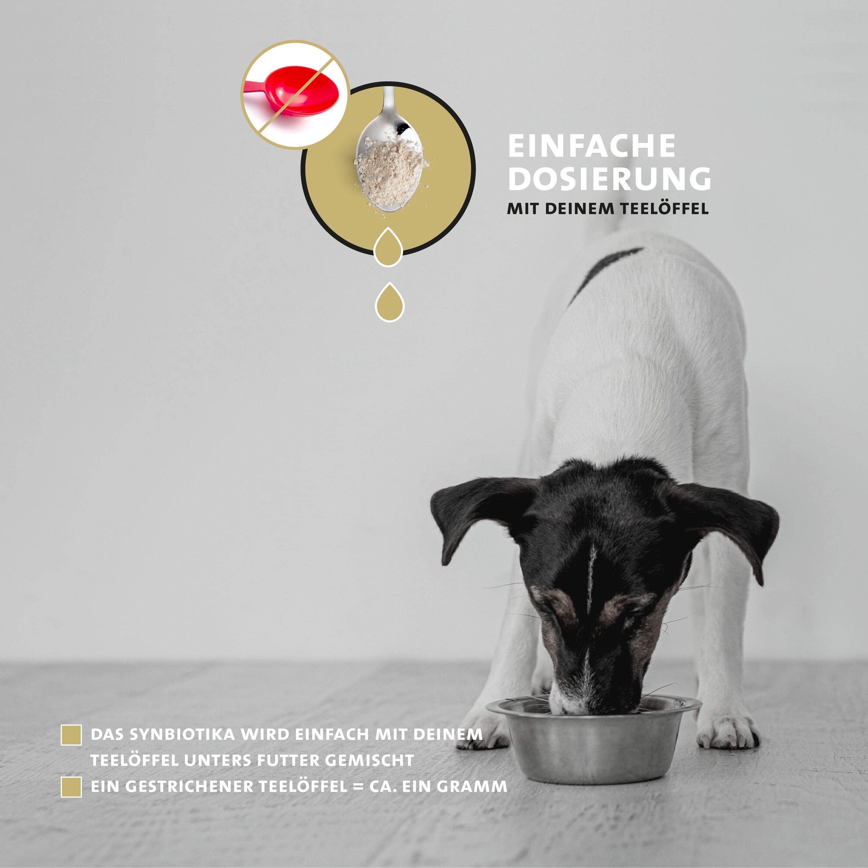 Hund isst aus einer Schüssel. Text: Einfache Dosierung mit deinem Teelöffel. Ein gestrichener Teelöffel = ca. ein Gramm.
