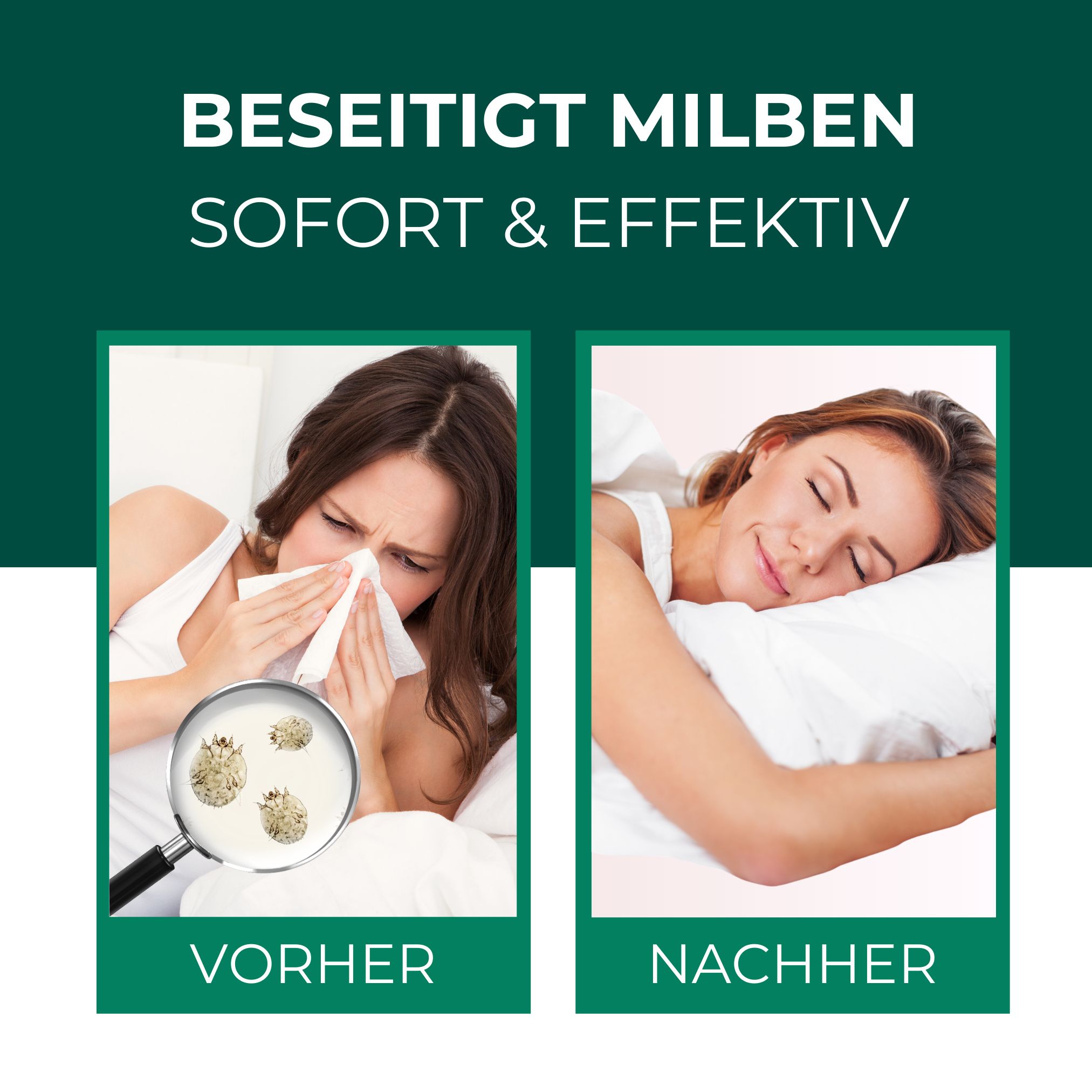 SILBERKRAFT Milbenspray Sofa & Textil