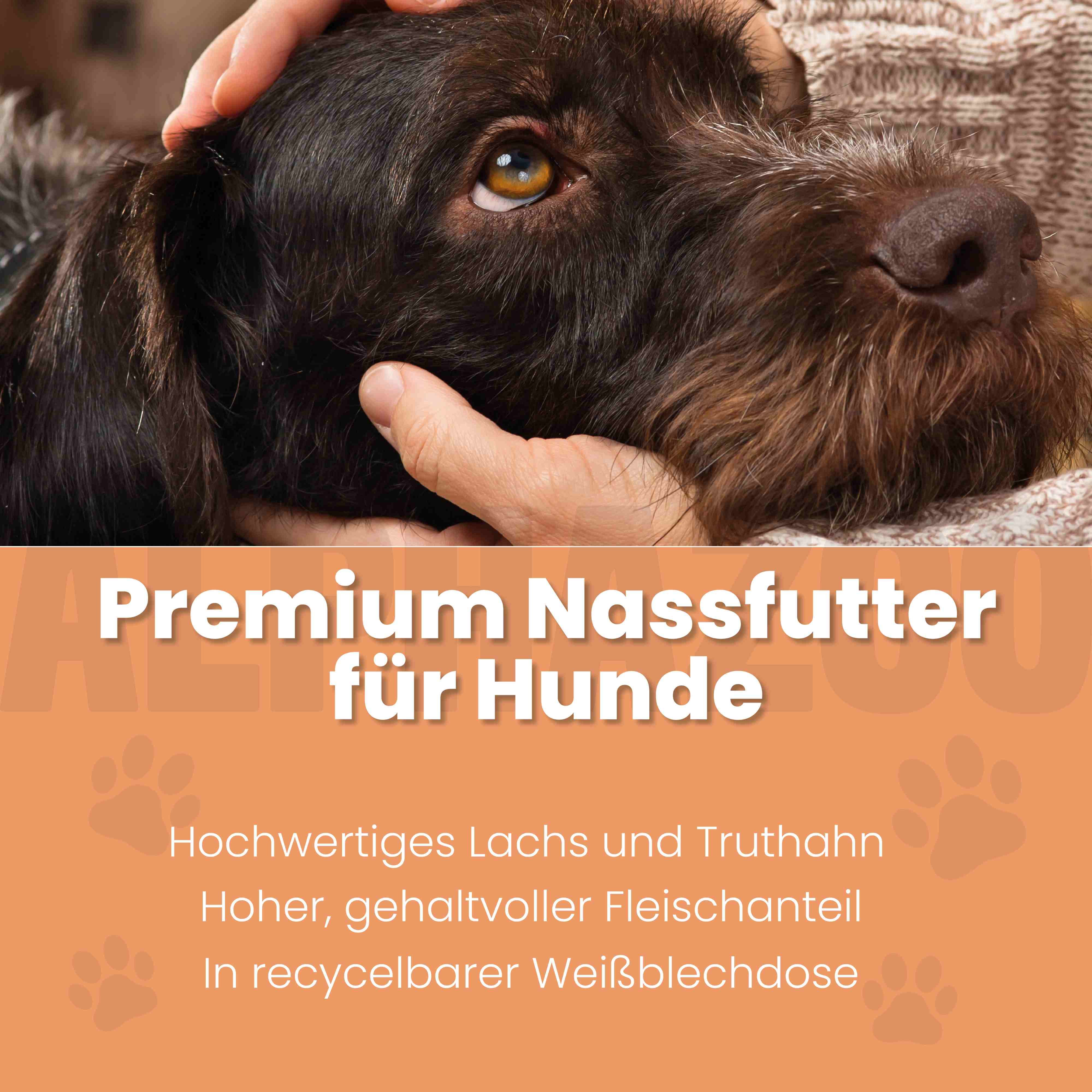 Ein Hund wird von Händen gehalten. Text: Premium Nassfutter für Hunde. Hochwertiges Lachs und Truthahn. In recycelbarer Weißblechdose.