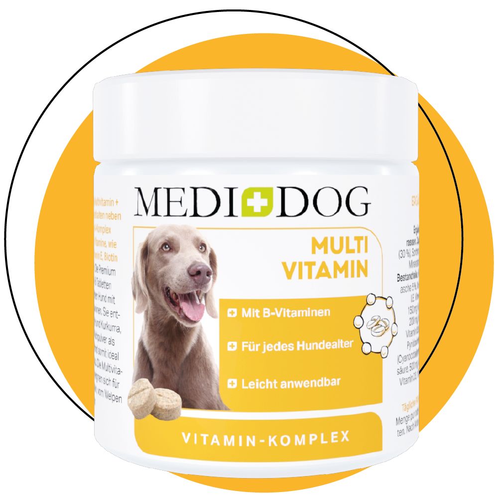 Weiße Dose MEDIDOG mit Hundefoto und Tabletten. Text: Multi Vitamin, Vitamin-Komplex. Gelber Bereich mit Text: Mit B-Vitaminen, für jedes Hundealter, leicht anwendbar.