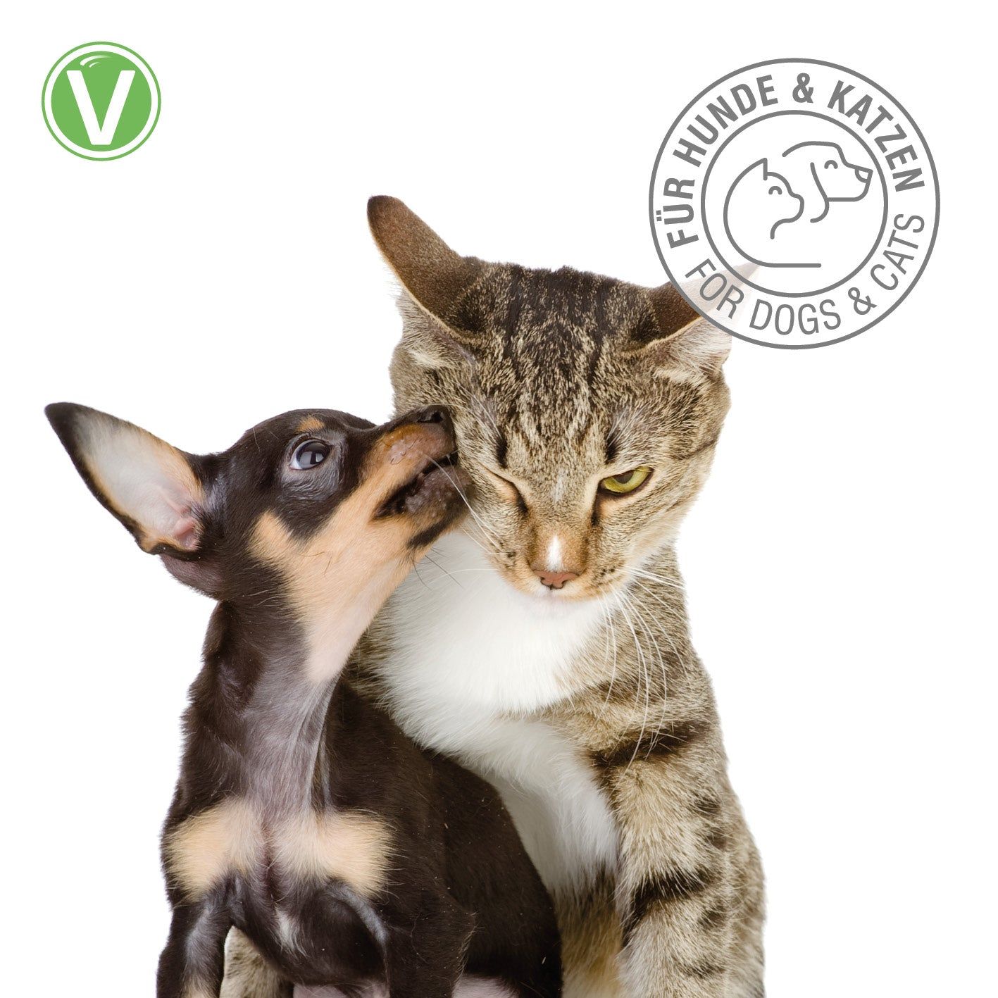 Vetlando Augenpflege