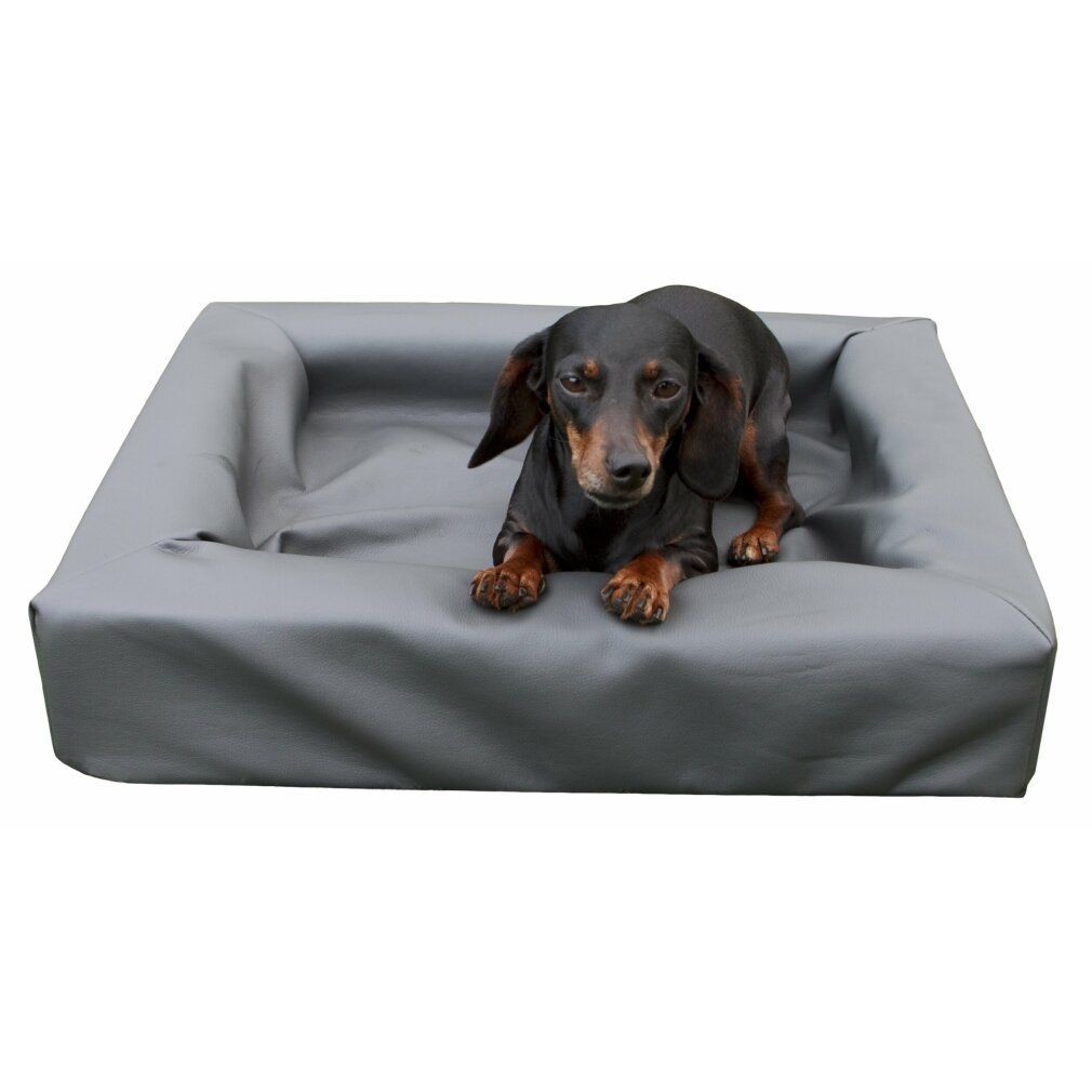 Lounge Dog Bed s
