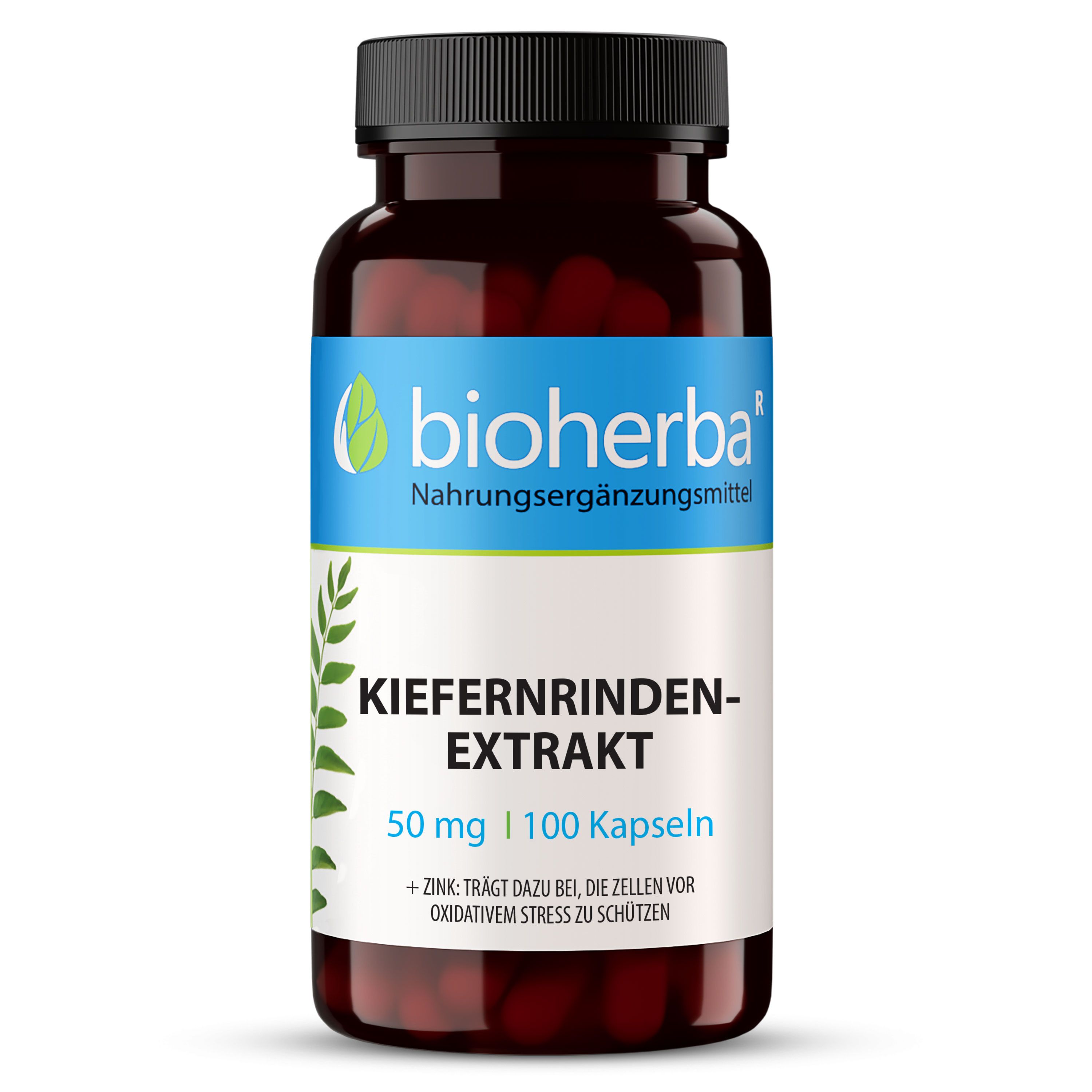 Braune Kapsel-Dose mit schwarzem Deckel. Etikett mit blauem Streifen, Produktname und Logo. Text: Kiefernrindenextrakt, 100 Kapseln.