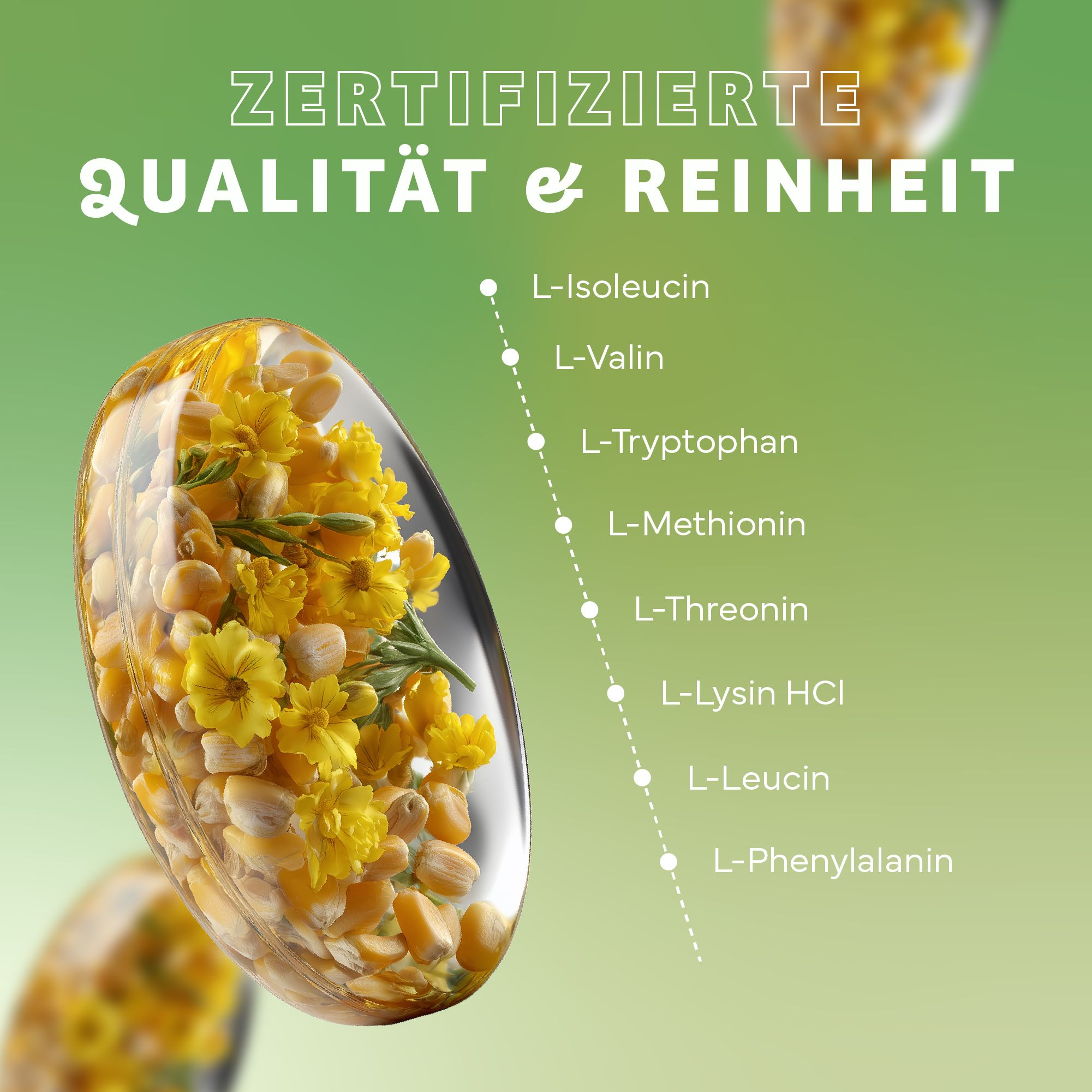Kapsel mit Mais und gelben Blüten. Text: Zertifizierte Qualität & Reinheit. Liste mit Aminosäuren: L-Isoleucin, L-Valin, etc.