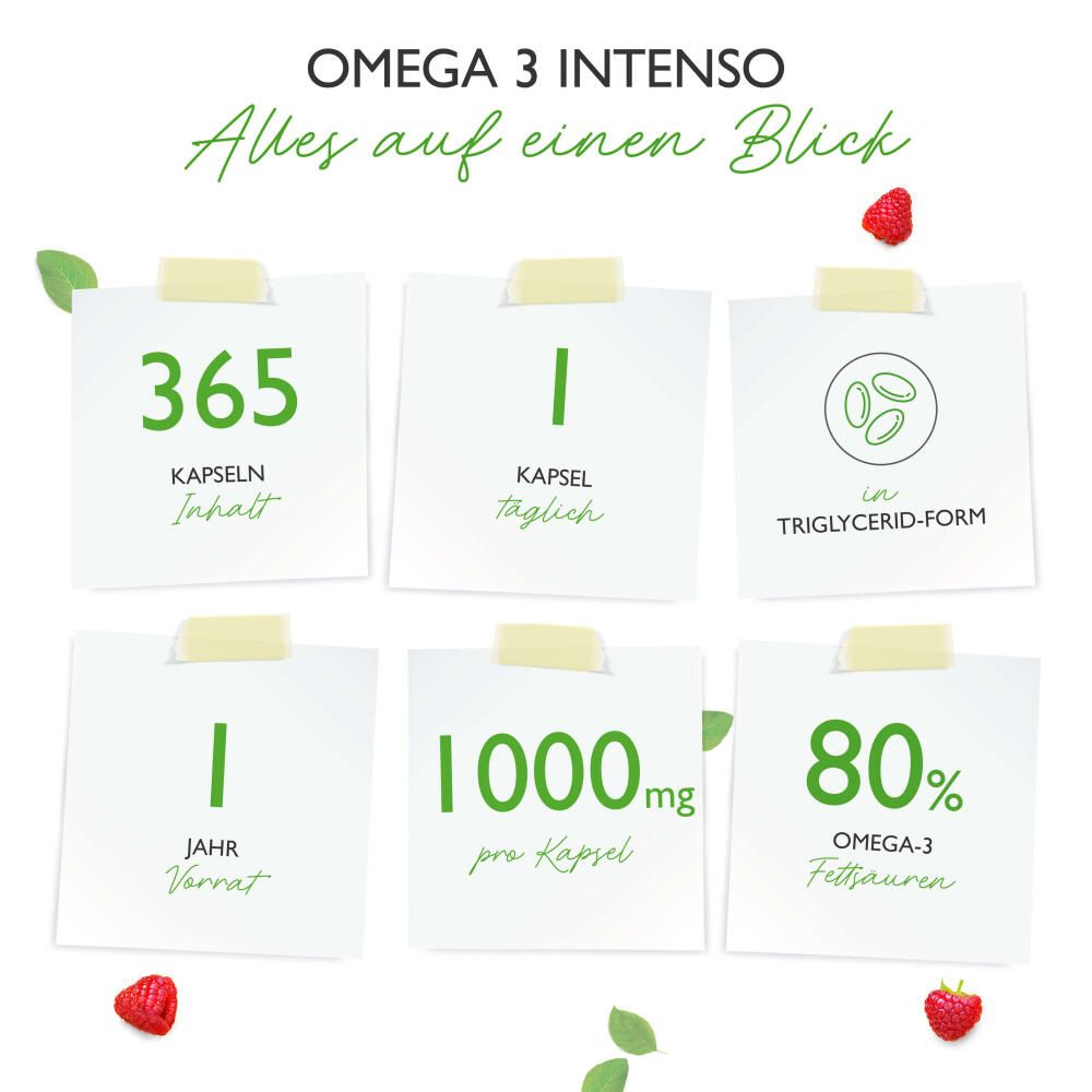 Infografik mit sechs Notizzetteln. Beschriftungen: 365 Kapseln, 1 Kapsel täglich, Triglycerid-Form, 1 Jahr Vorrat, 1000mg pro Kapsel, 80% Omega-3 Fettsäuren.