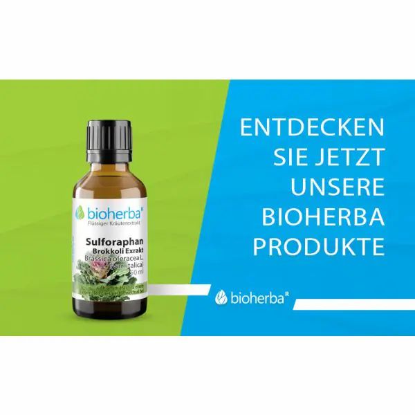 Flasche mit schwarzem Deckel. Bioherba Sulforaphan Brokkoli Extrakt. Grün und blau.