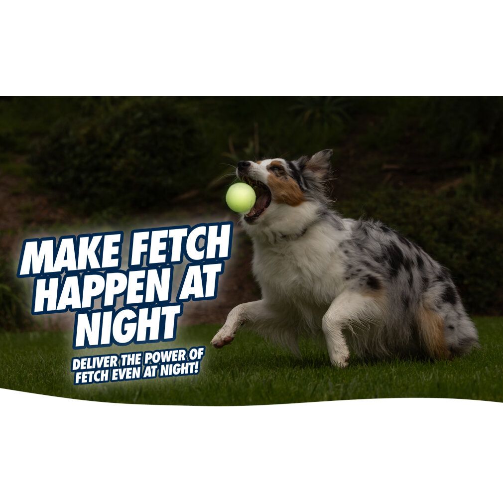 Hund mit grünem Ball im Maul. Text: Make Fetch Happen at Night.