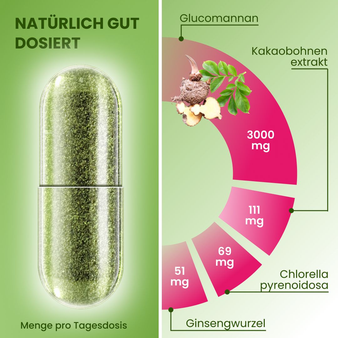Kapsel mit grünem Inhalt. Text: Menge pro Tagesdosis, Inhaltsstoffe: Glucomannan, Kakaobohnenextrakt, Chlorella pyrenoidosa, Ginsengwurzel.
