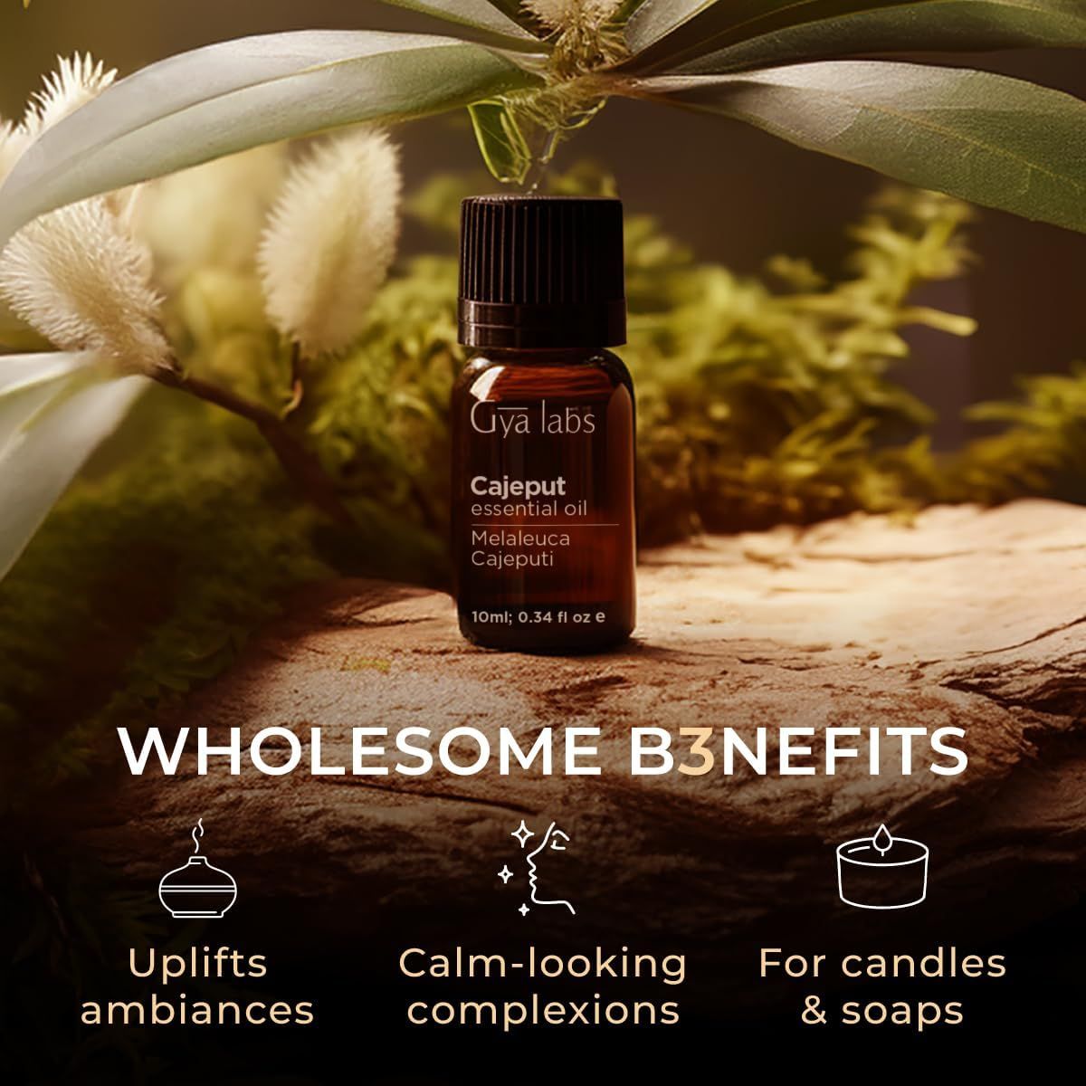 Braune Glasflasche mit schwarzem Deckel. Text: Gya Labs Cajeput essential oil, 10ml; 0.34 fl oz.