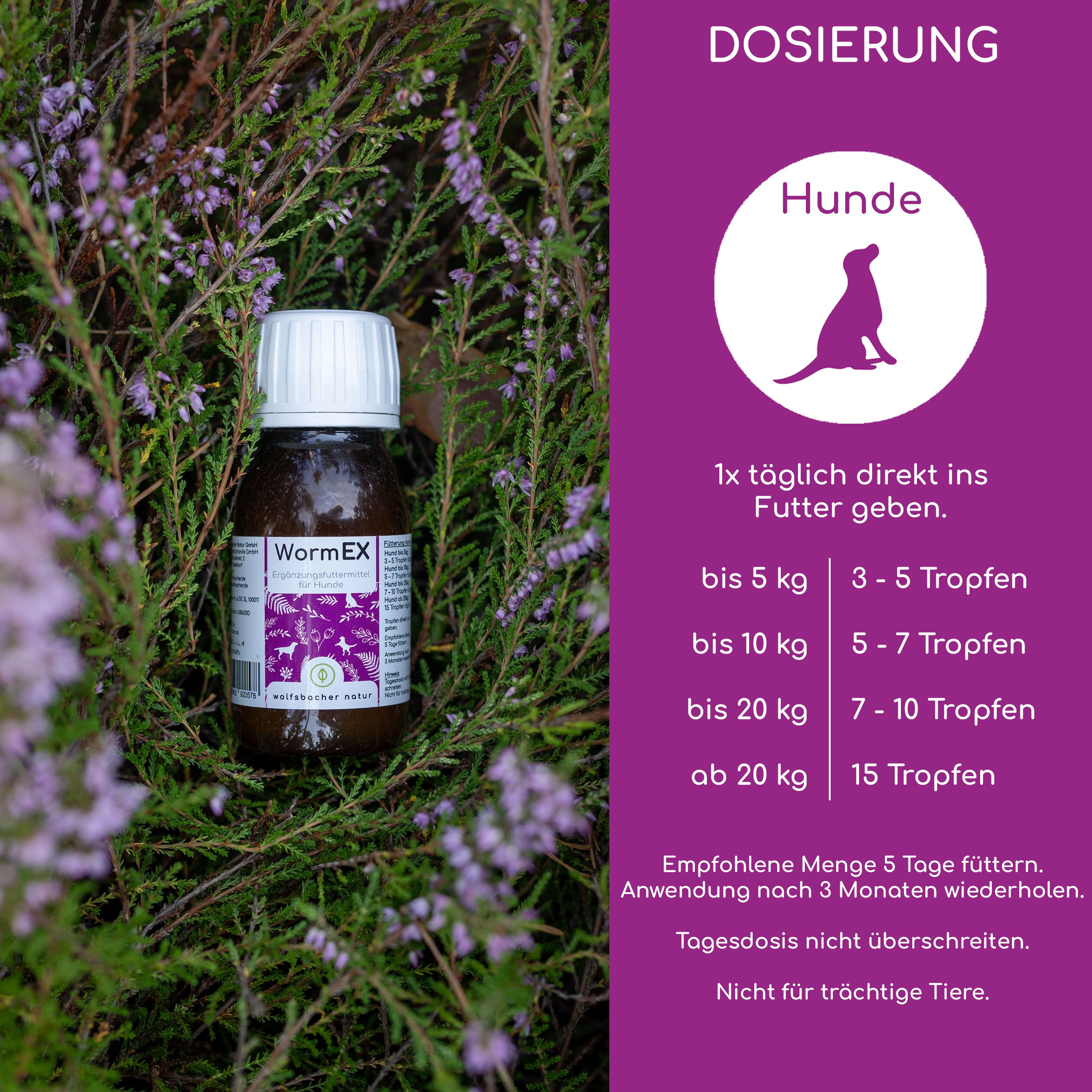 Flasche WormEx neben Dosierungsanleitung für Hunde. Text: wolfsbacher natur. Dosierung: 3-15 Tropfen, je nach Gewicht.