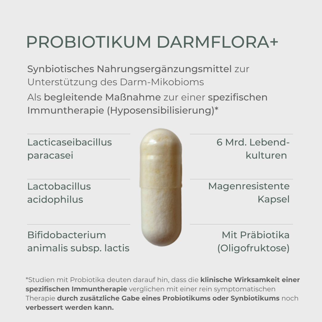 Kapsel neben Text. PROBIOTIKUM DARMFLORA+. Lactaseibacillus paracasei, Lactobacillus acidophilus, Bifidobacterium animalis subsp. lactis.