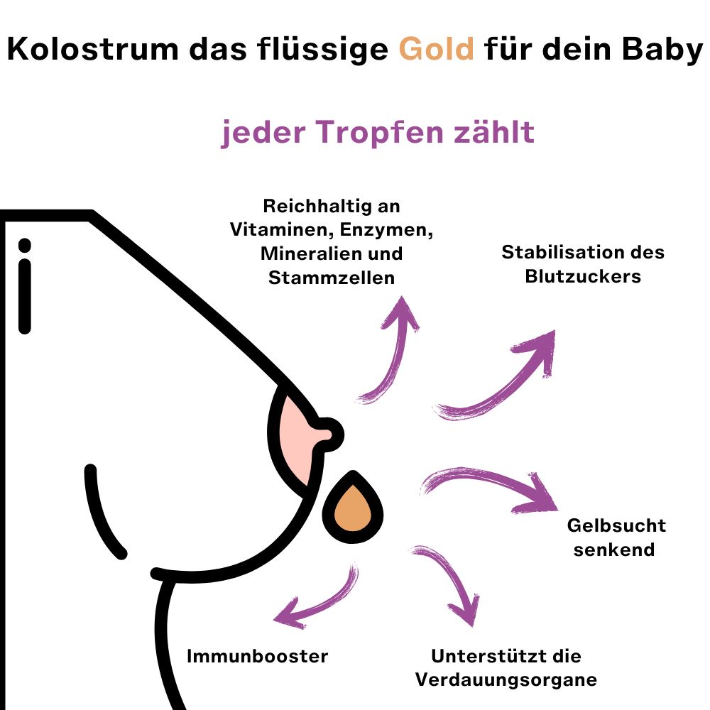 Grafik einer Brust mit Pfeilen, die Vorteile von Kolostrum zeigen. Text: jeder Tropfen zählt, myEphelia.