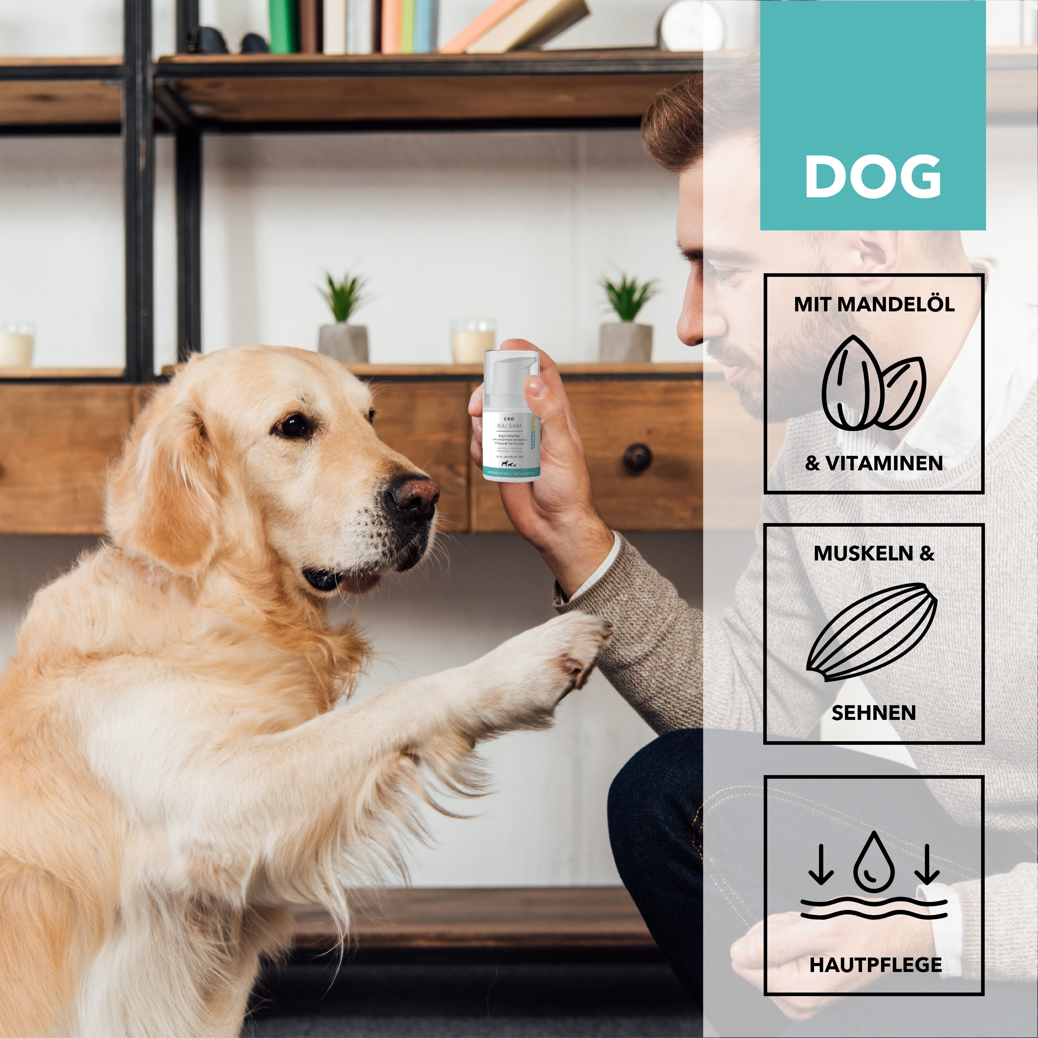 Mann hält CBD Balsam für Hunde. Neben ihm ein Hund. Illustrationen: Mandeln & Vitamine, Muskeln & Sehnen, Hautpflege.