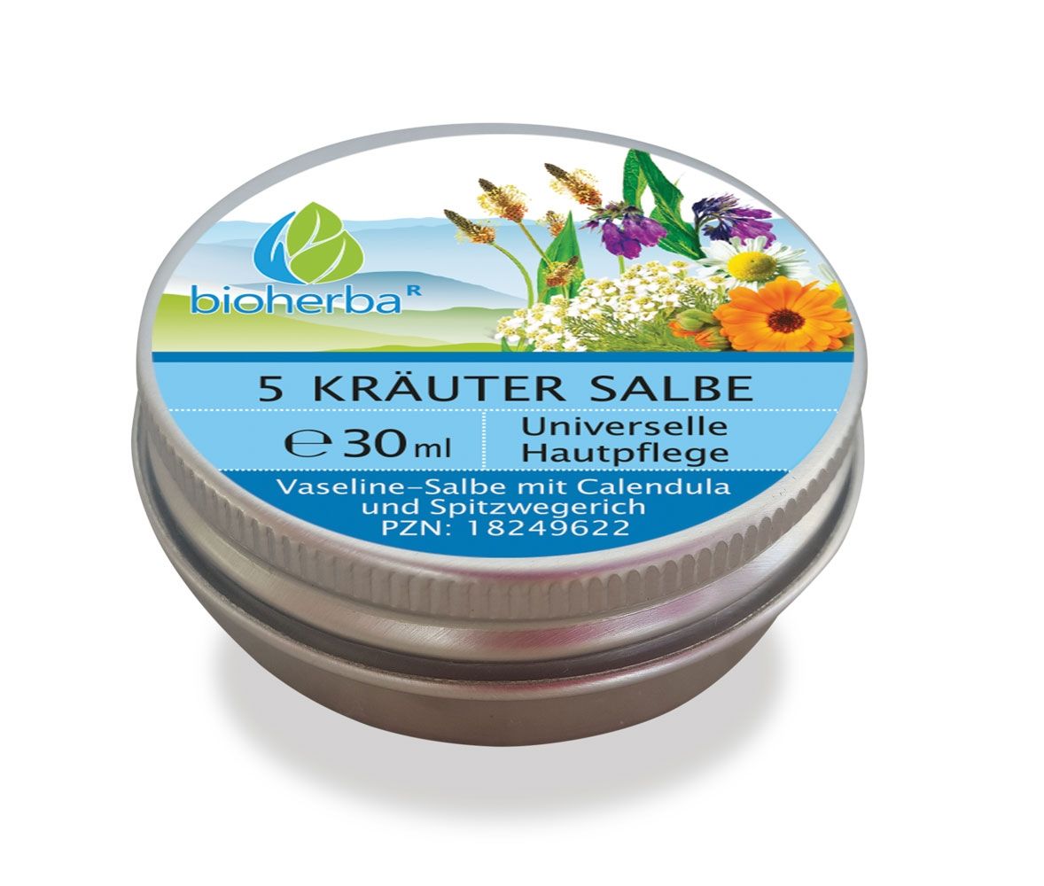 Runde Dose mit Deckel. Aufschrift: 5 Kräuter Salbe, Universelle Hautpflege. Enthält Calendula und Spitzwegerich. Marke: bioherba.