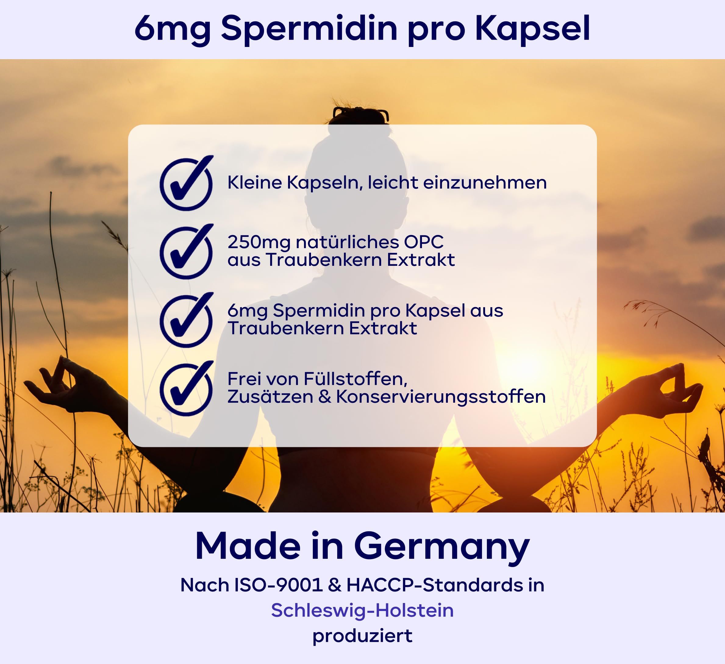 Grafik mit Informationen. 4 Checklisten mit Text.  'Made in Germany'.  Nach ISO-9001 & HACCP-Standards produziert.