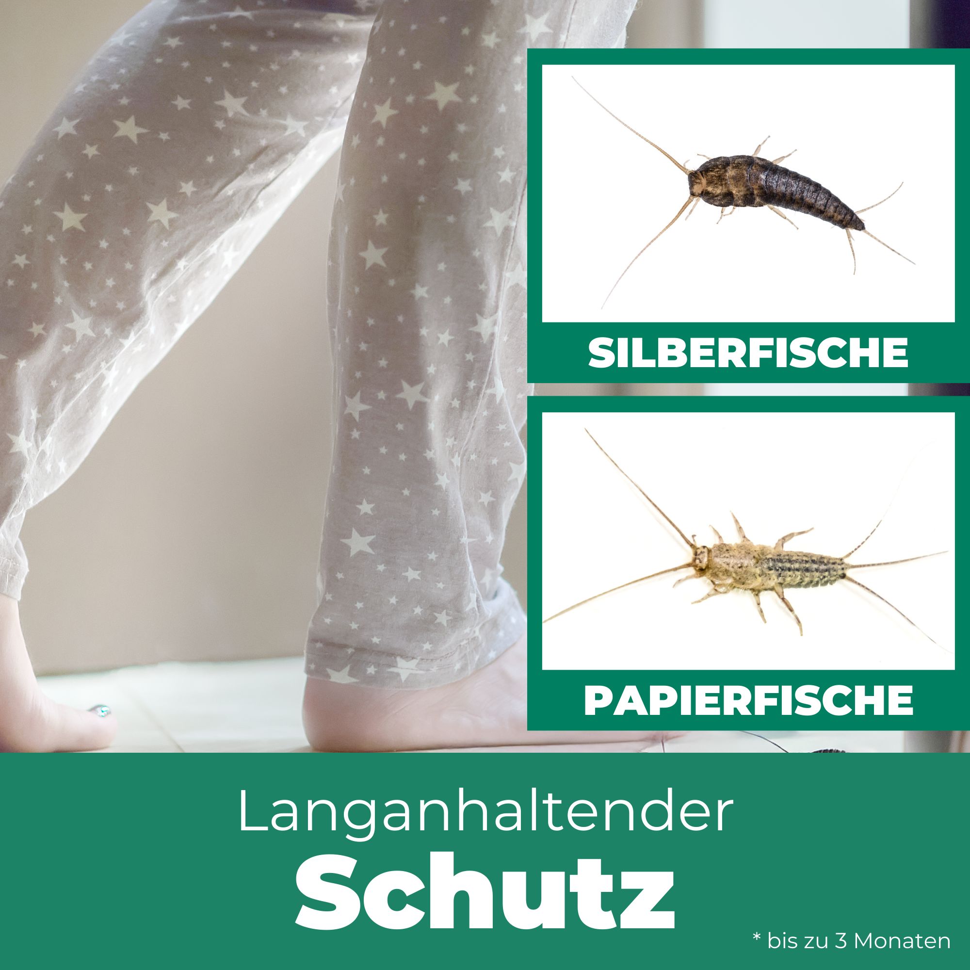 SILBERKRAFT Silberfischspray