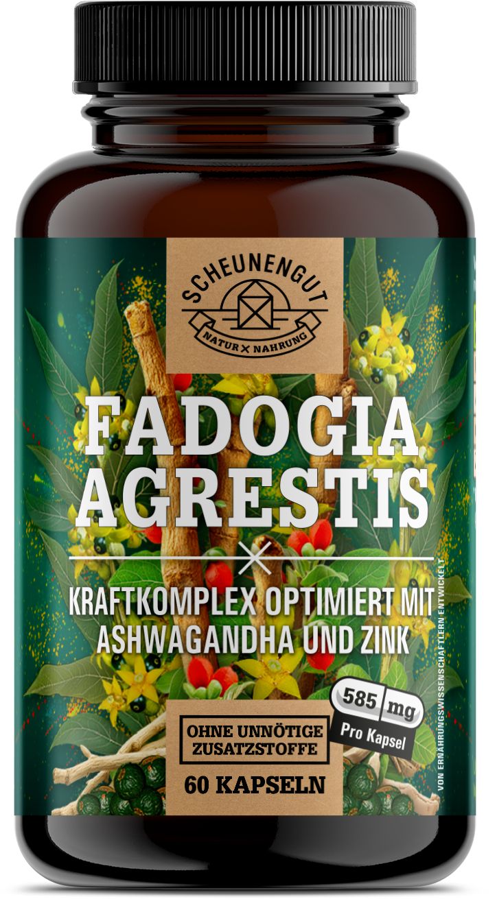 Scheunengut® Fadogia Agrestis | Hochdosierter 10:1 Extrakt optimiert mit Ashwagandha und Zink