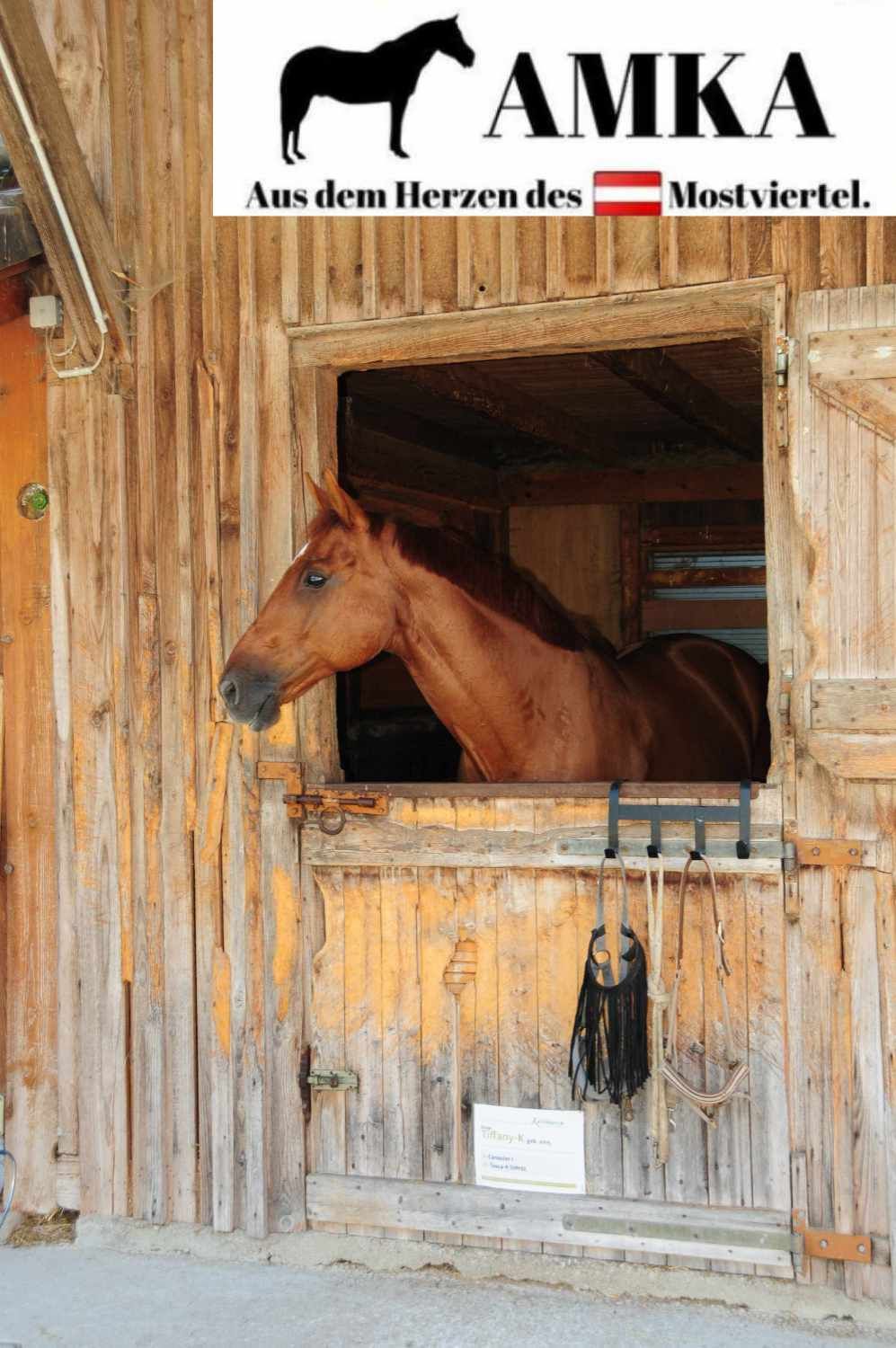 Holzstall mit Pferd in der Tür. Text: AMKA, Aus dem Herzen des Mostviertels.