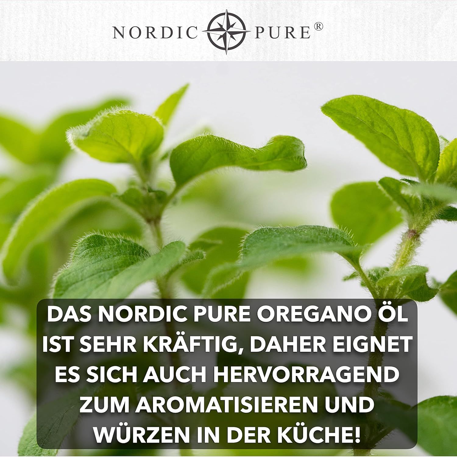 Nahaufnahme von Oregano-Pflanzen. Text: Nordic Pure Oreganoöl ist kräftig, ideal zum Aromatisieren und Würzen.