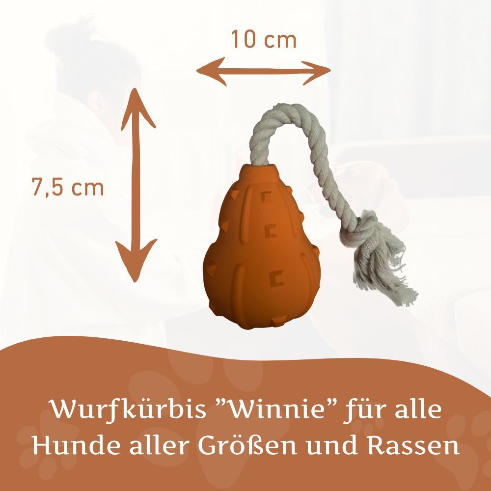 Orangefarbener Wurfkürbis aus Naturkautschuk mit Seil. Maße: 10 cm breit, 7,5 cm hoch.