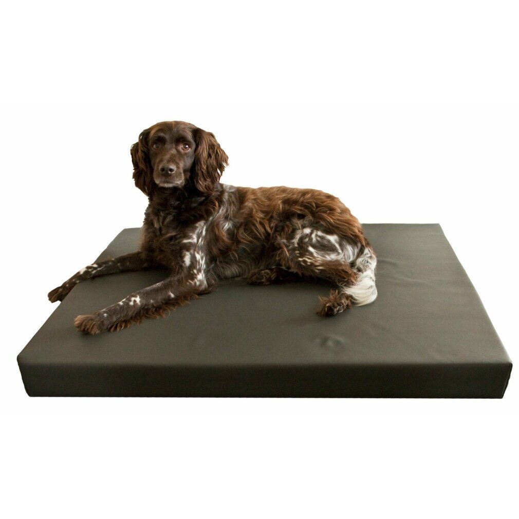 hd Dog Bed m