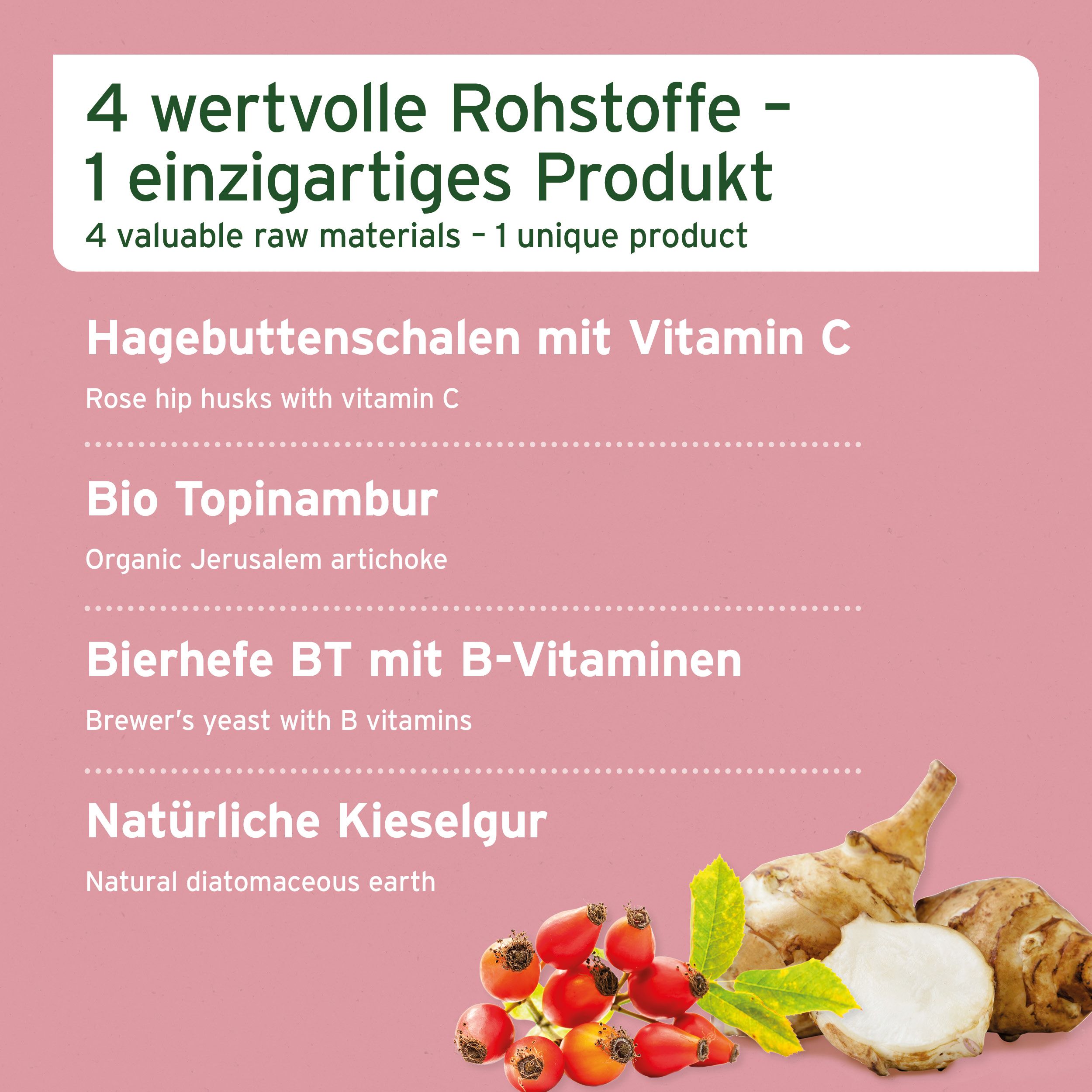 Infografik mit Inhaltsstoffen. Hagebuttenschalen, Topinambur, Bierhefe, Kieselgur. Mit Abbildungen der Rohstoffe.