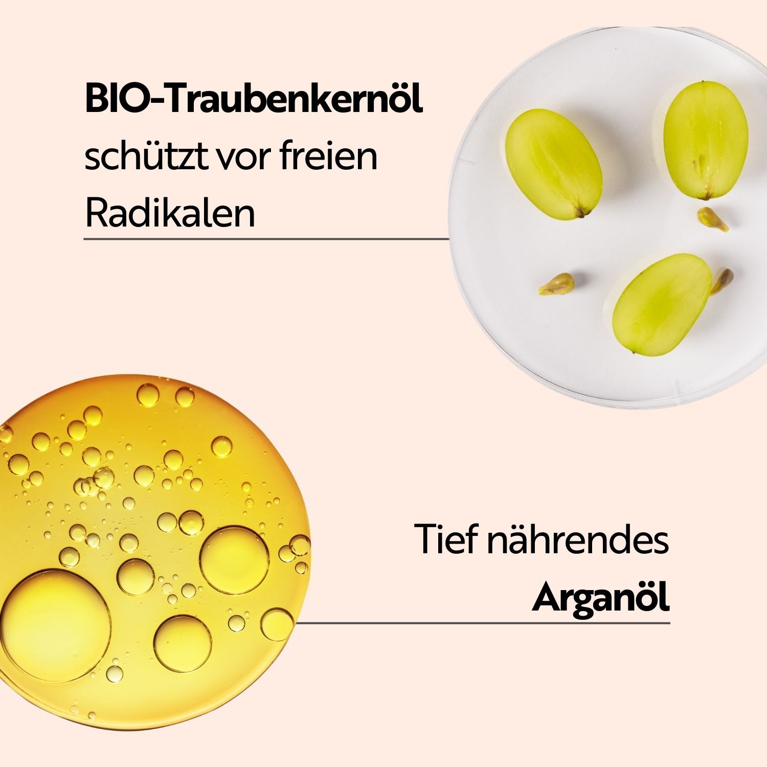 Nahaufnahme von Traubenkernöl und Arganöl. Traubenkernöl schützt vor freien Radikalen. Arganöl ist tief nährend.