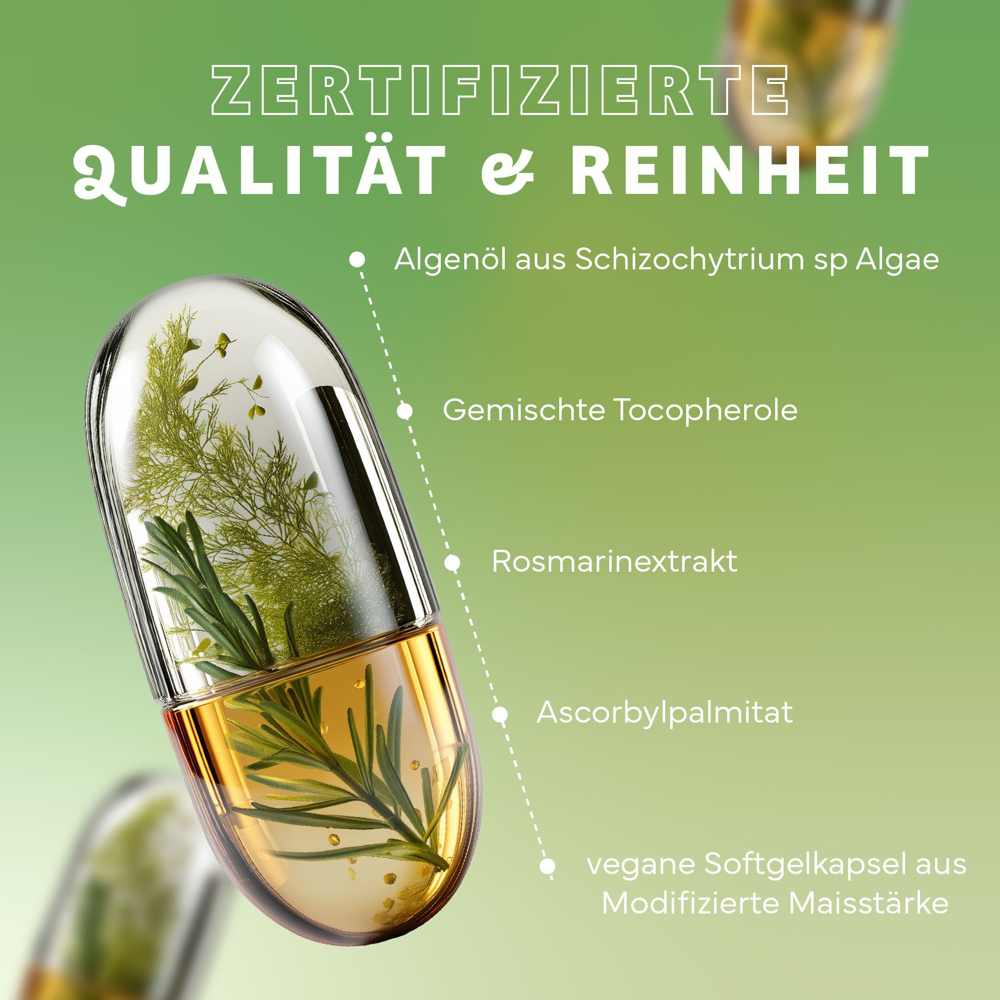 Kapsel mit Öl und Kräutern. Beschriftung: Algenöl, Tocopherole, Rosmarinextrakt, Ascorbylpalmitat. Vegane Softgelkapsel.