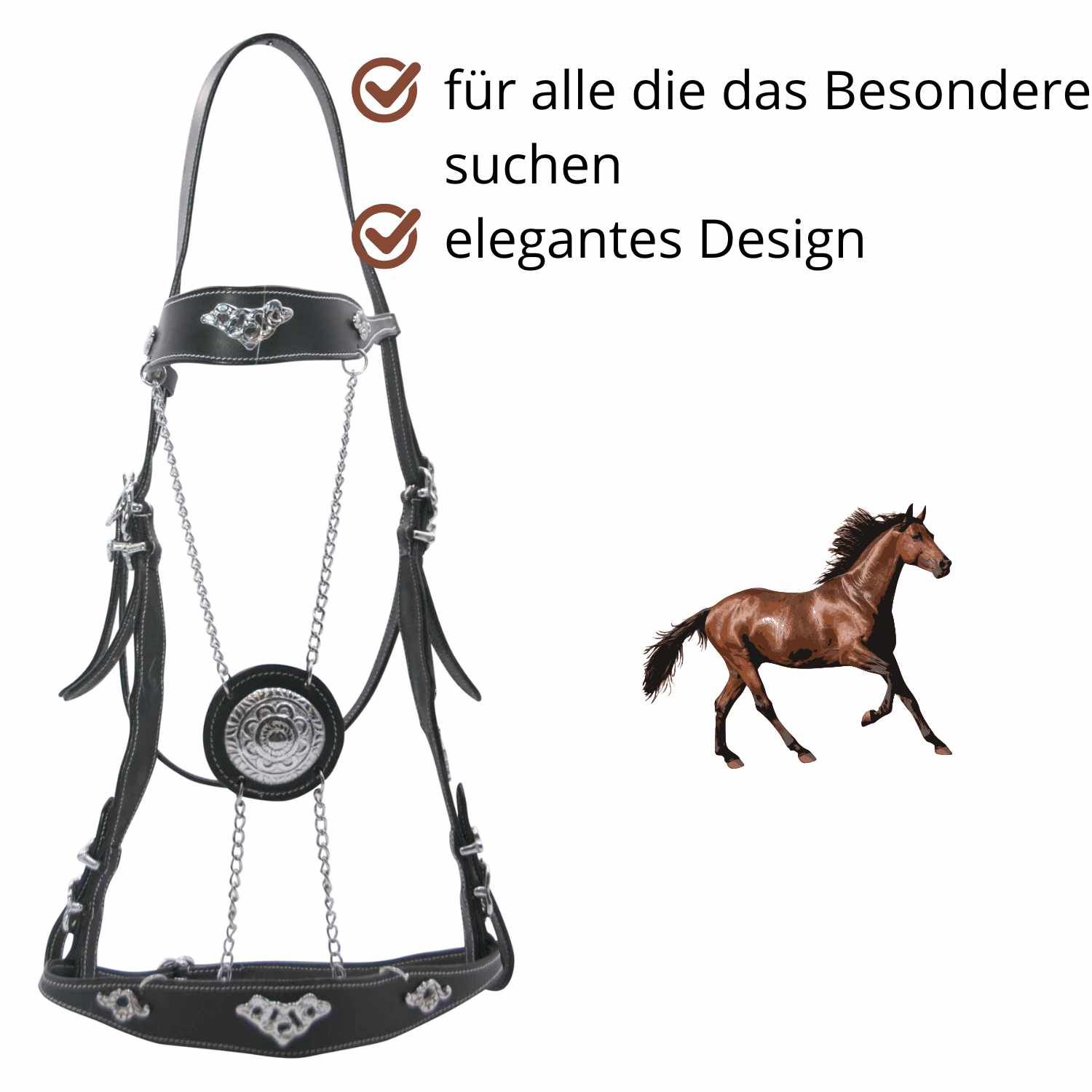 Schwarze Trense mit silberfarbenen Verzierungen und Kette. Rechts ein braunes Pferd. Text: elegantes Design.
