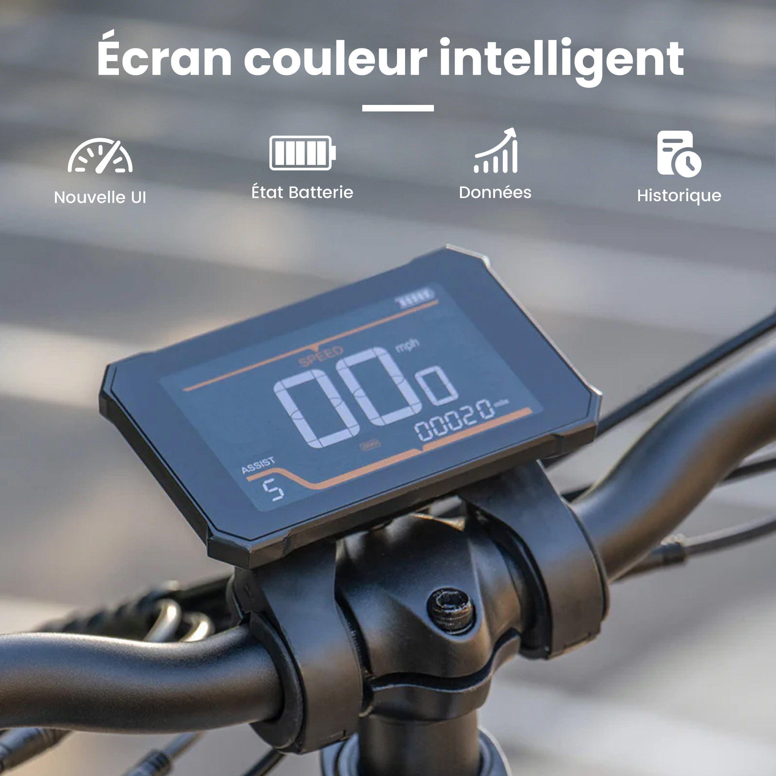 KINGBULL Literider 2.0 Faltbares Elektrofahrrad, 48 V 13,5 Ah Akku (herausnehmbar)