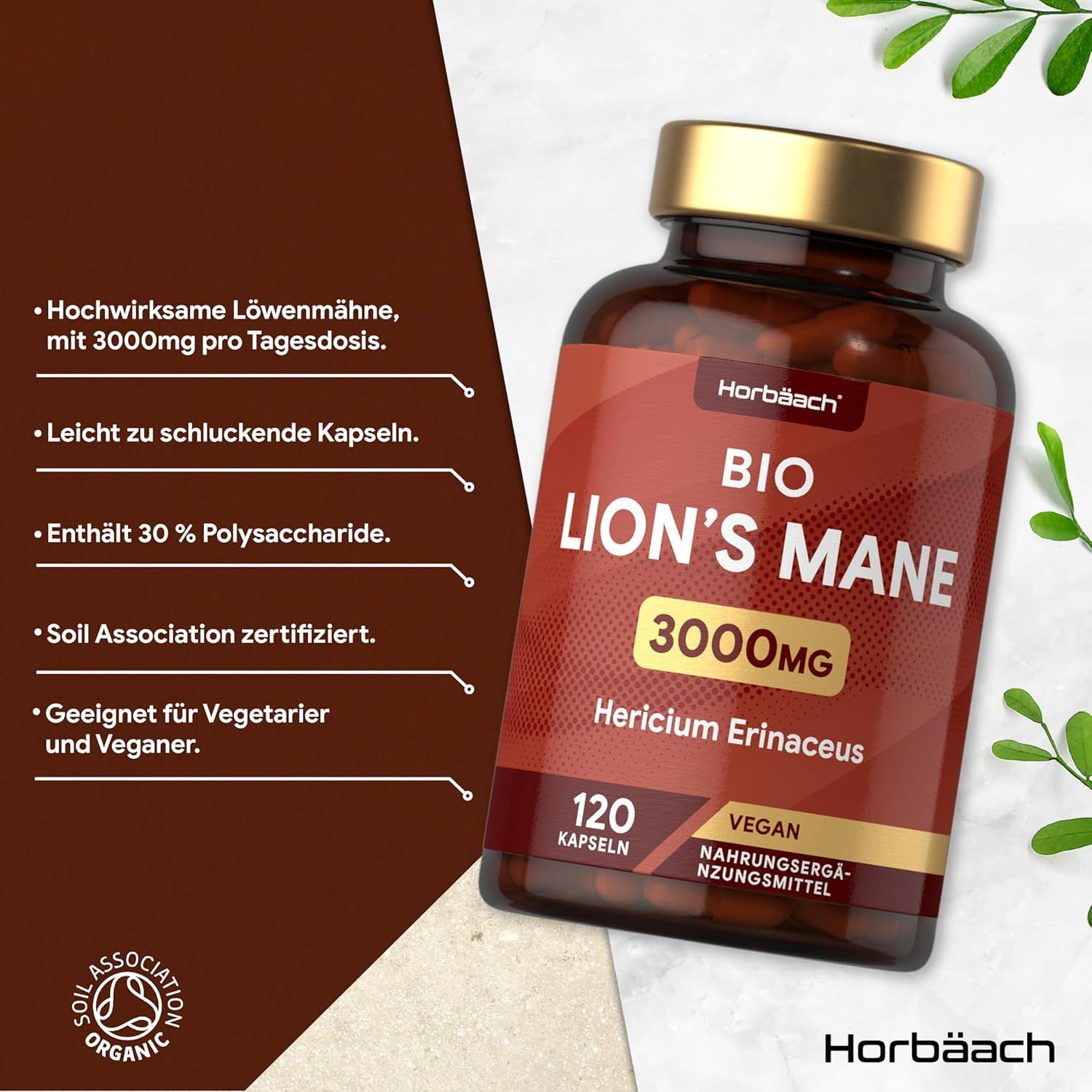 Horbaach Lions Mane Kapseln