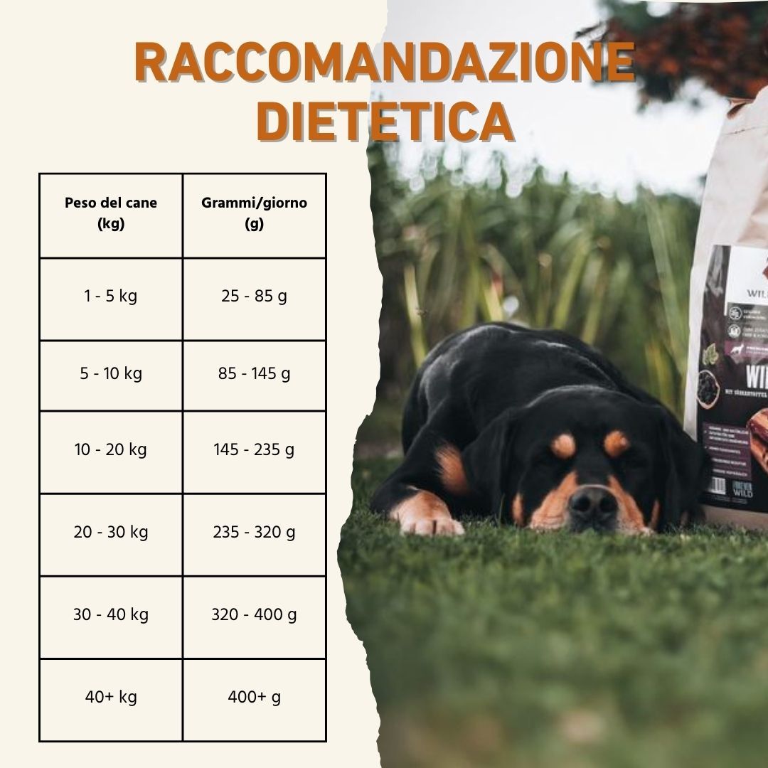 Tabelle mit Fütterungsempfehlungen für Hunde. Gewicht des Hundes und Gramm/Tag.