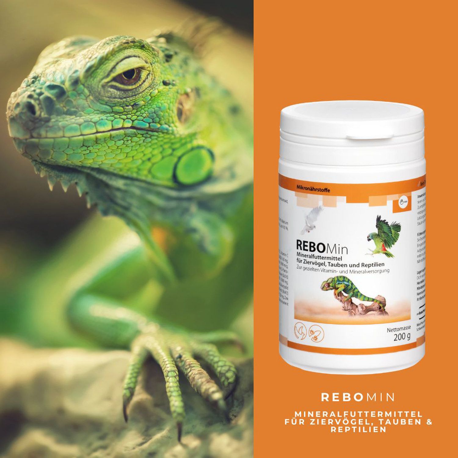 ReboMin Mineralfuttermittel Ziervögel, Tauben und Reptilien