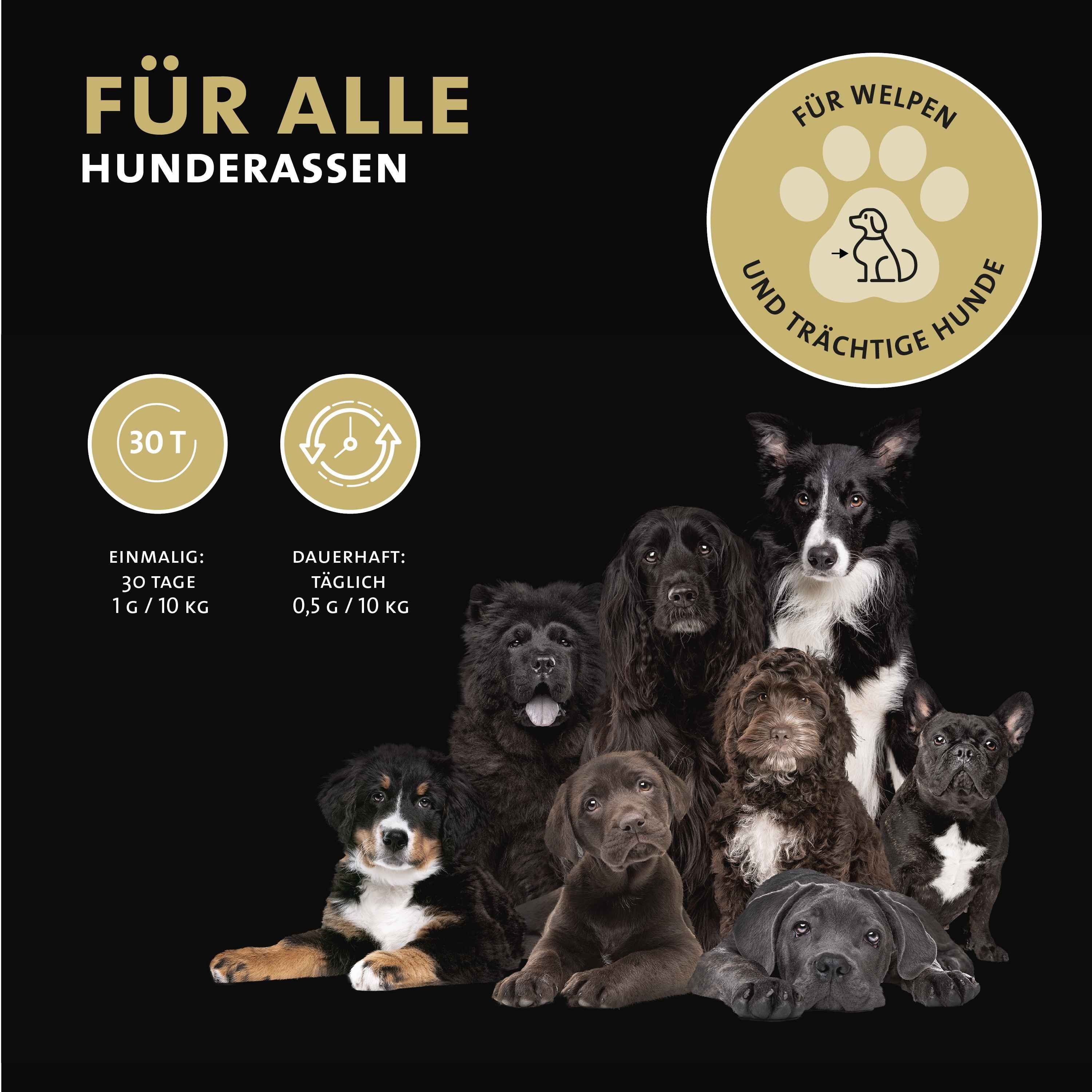 Verschiedene Hunde, Peticare Logo, Hinweis für Welpen und trächtige Hunde.