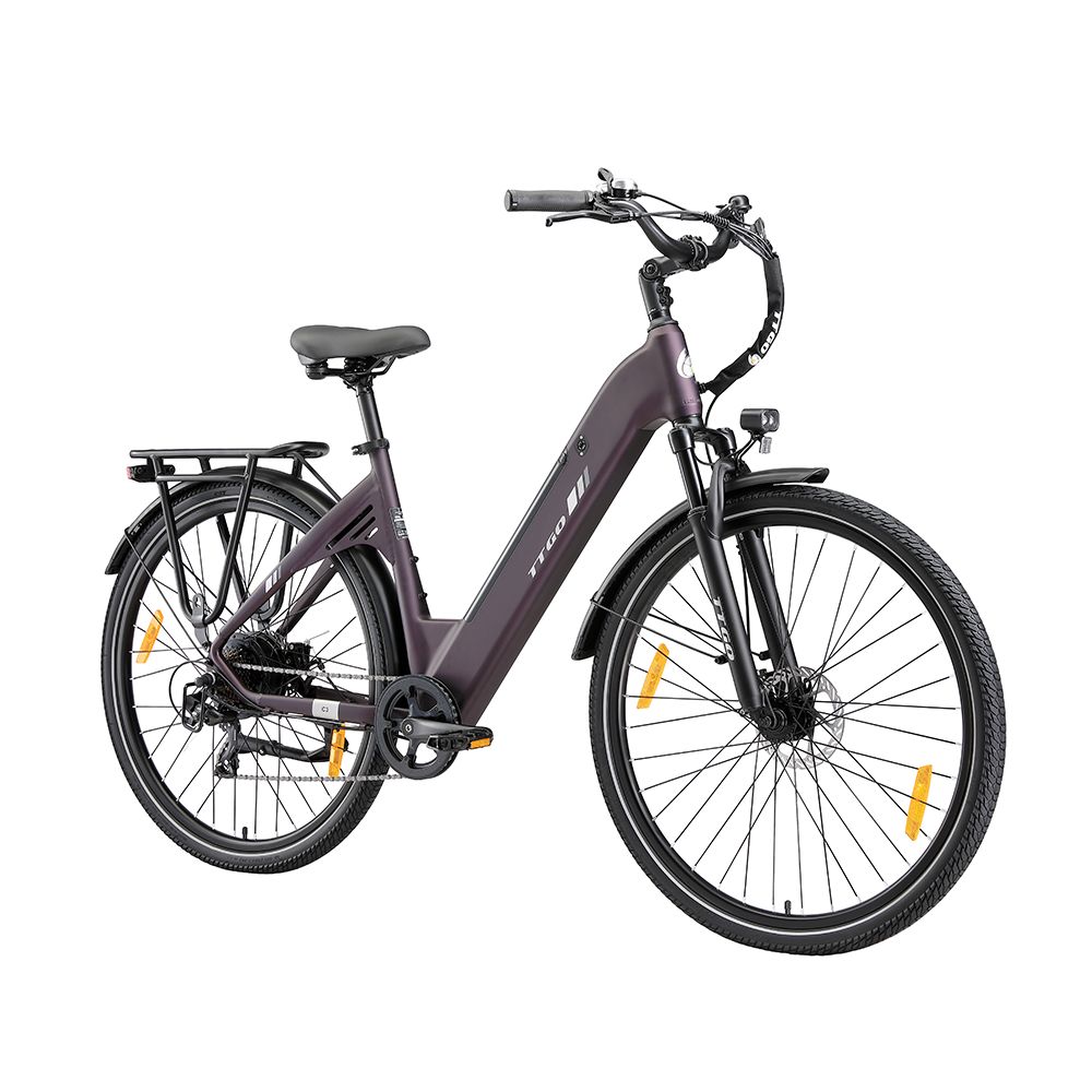 Dunkelviolettes Elektrofahrrad mit Gepäckträger, Schutzblechen und Beleuchtung. Schwarze Reifen und Sattel. TTGO-Logo.