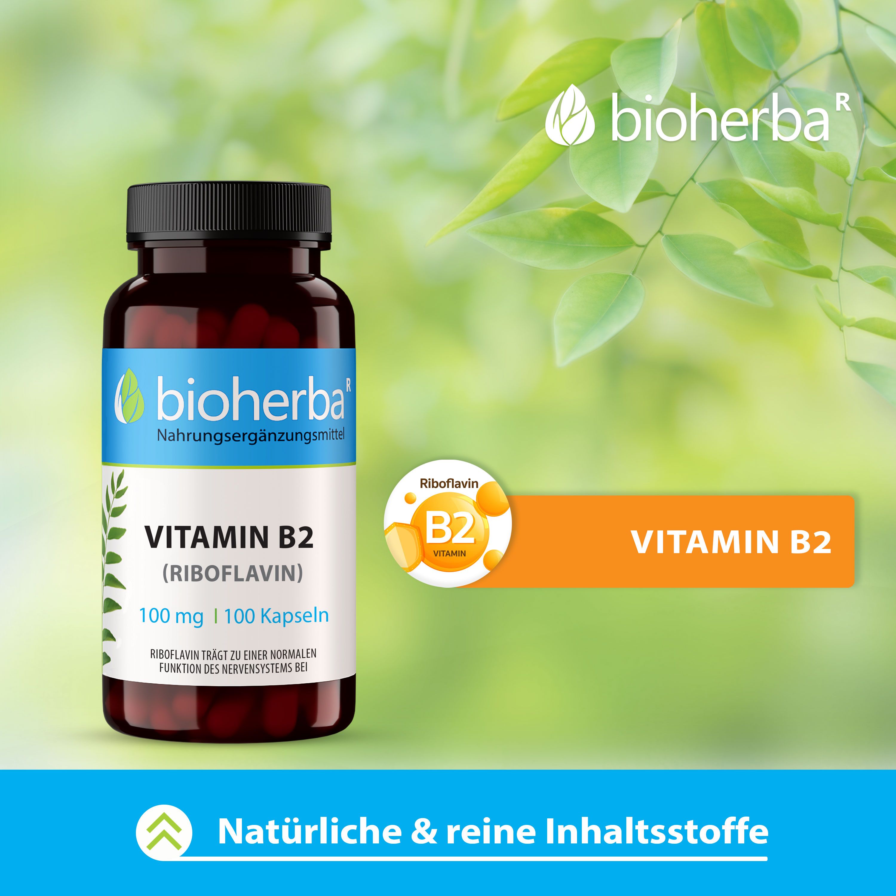 Braune Flasche mit "Bioherba" und "Vitamin B2". Text über natürliche Inhaltsstoffe. 100 Kapseln.