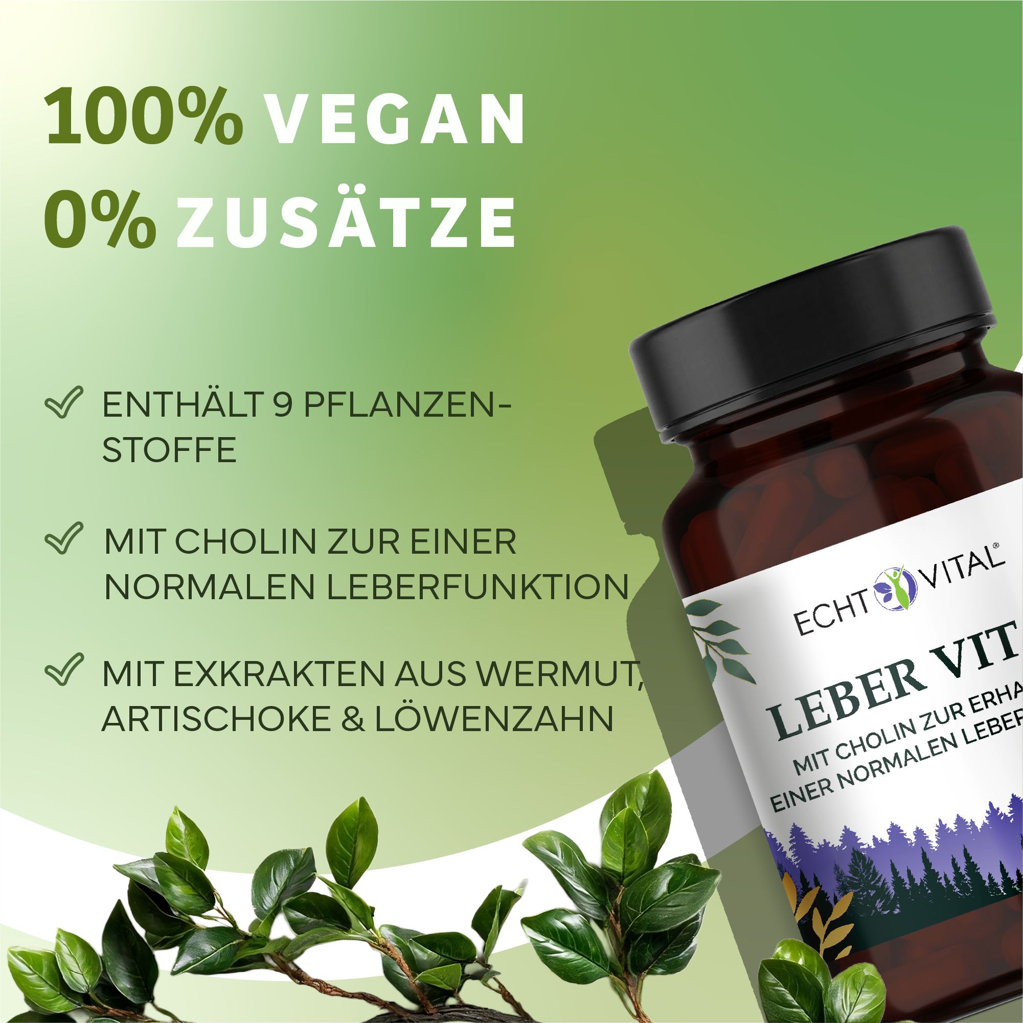 Braune Glasflasche mit Kapseln. Aufschrift: Echt Vital Leber Vital. Enthält 9 Pflanzenstoffe, mit Cholin für Leberfunktion. 100% vegan.