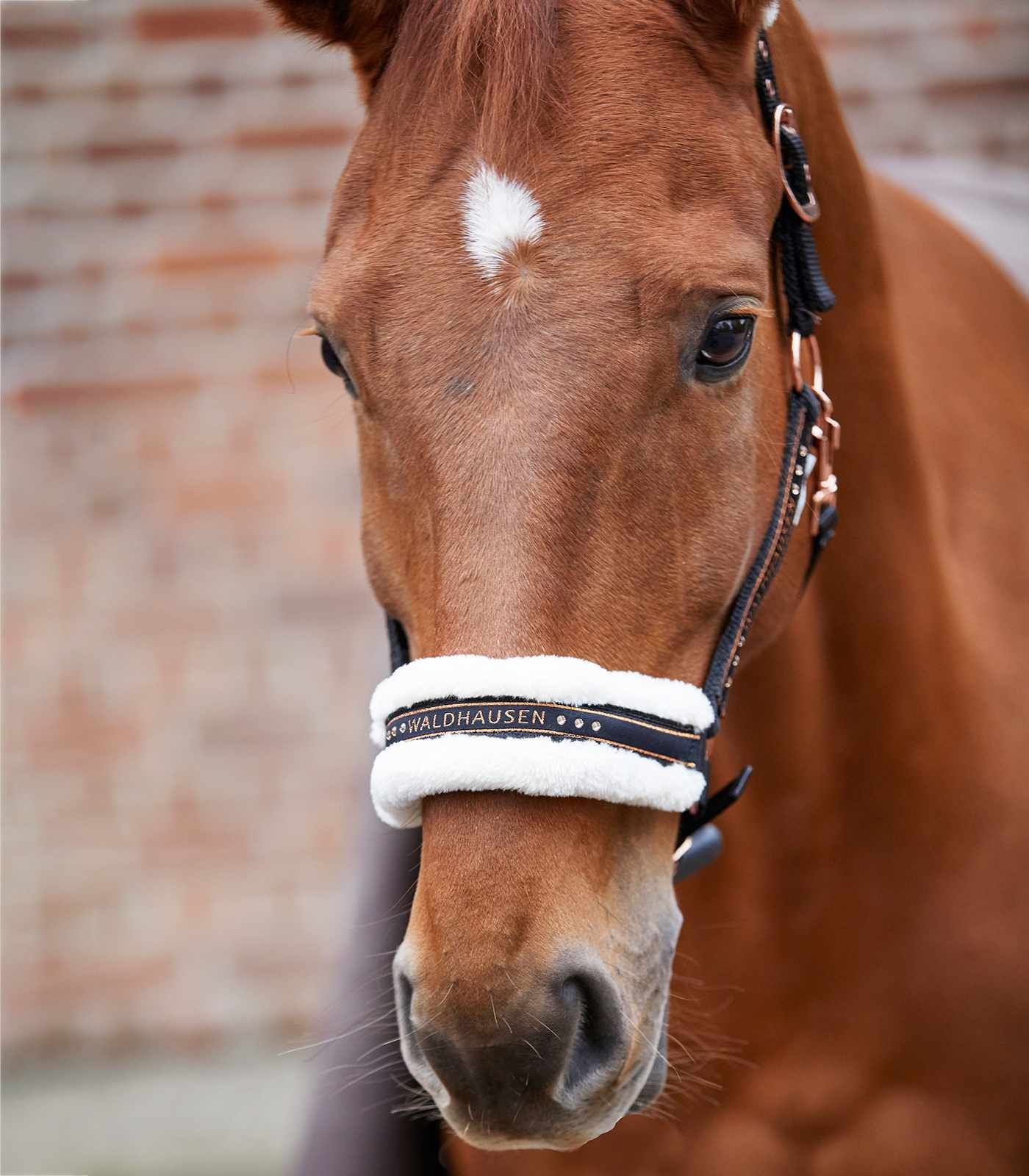 Waldhausen Nylonhalfter Elegant