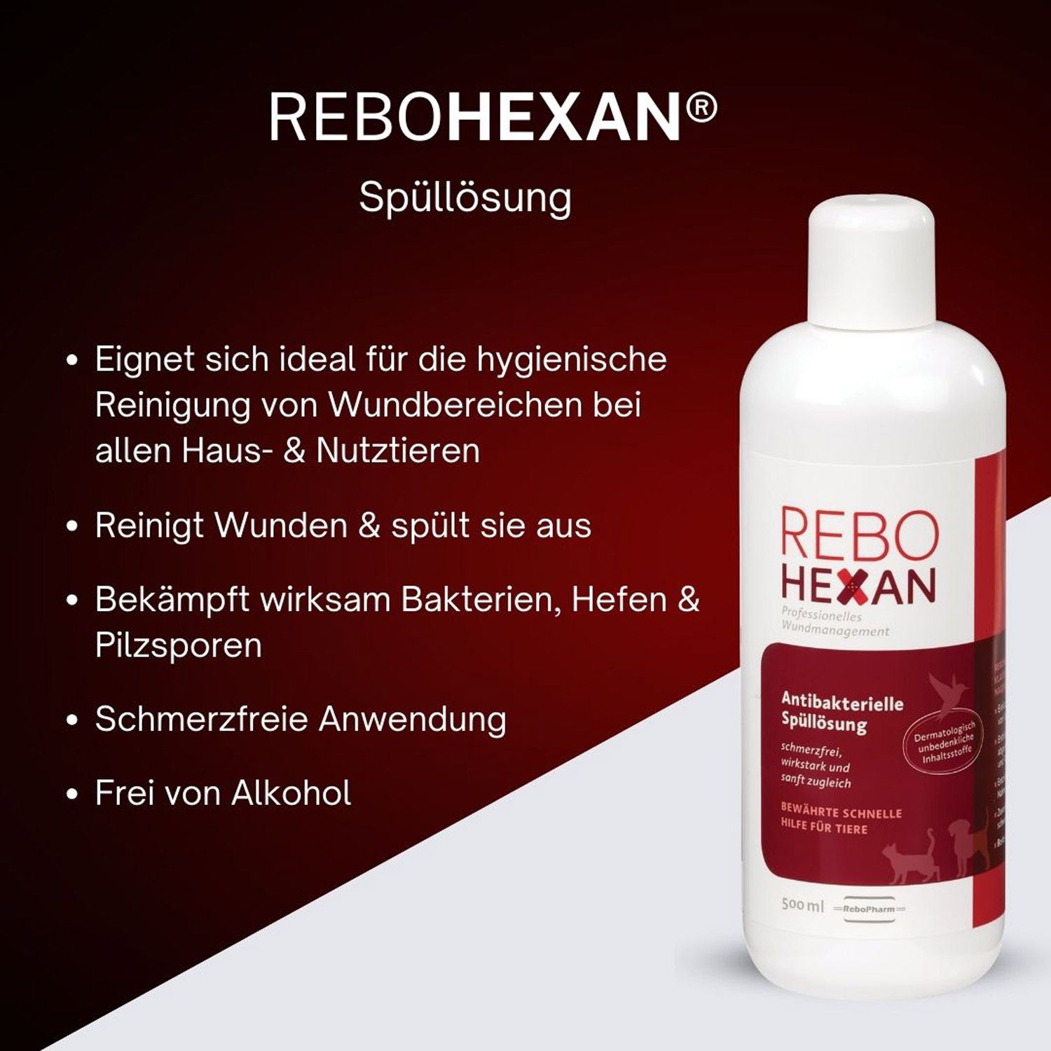 REBOHEXAN Spüllösung