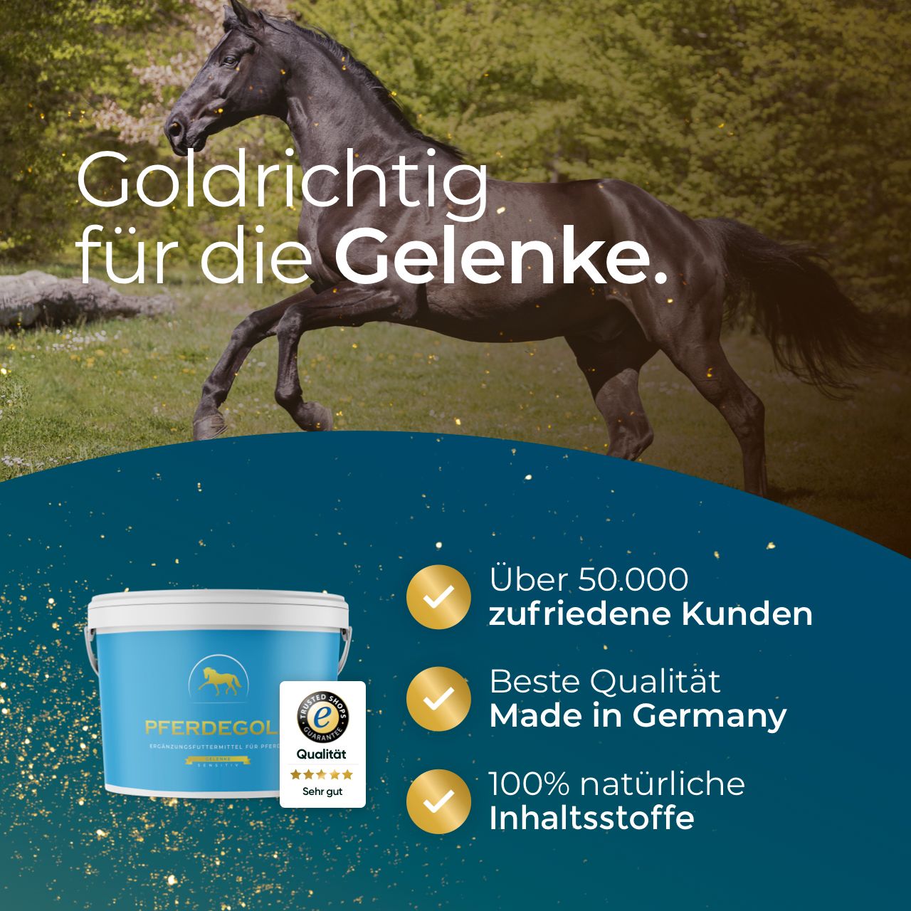 Blauer Eimer Pferdegold neben einem galoppierenden Pferd. Qualitätssiegel "Sehr gut", "Made in Germany" und 100% natürliche Inhaltsstoffe.