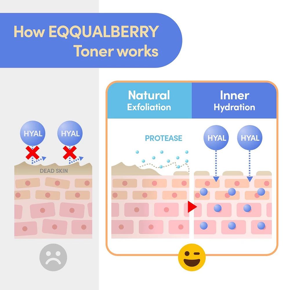 Grafik erklärt die Wirkung von EQQUALBERRY Toner auf die Haut.