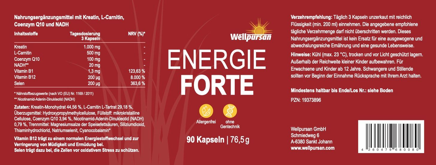 Wellpursan Gedächtnis vital +