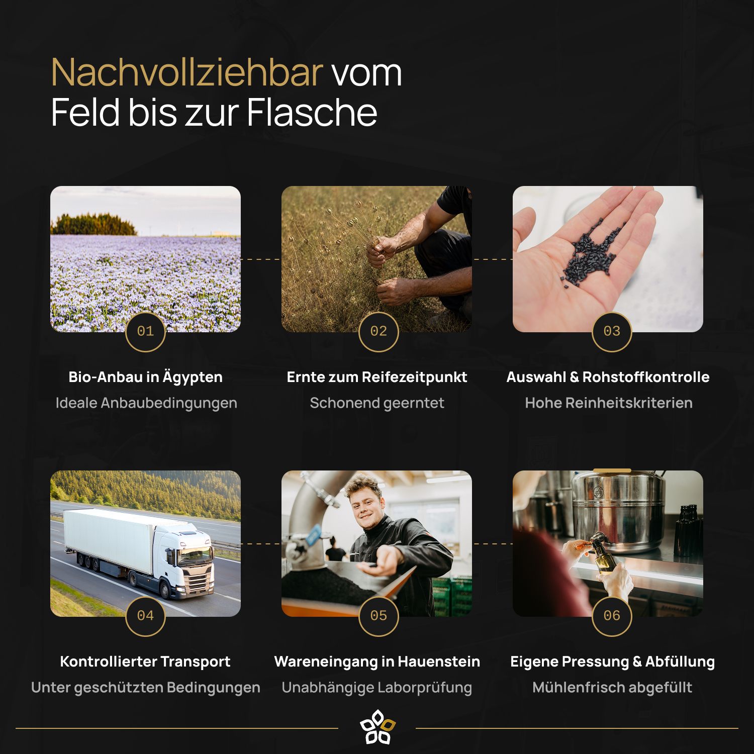 Nigellio Bio-Schwarzkümmelöl gefiltert kaltgepresst aus ägyptischer Nigella sativa