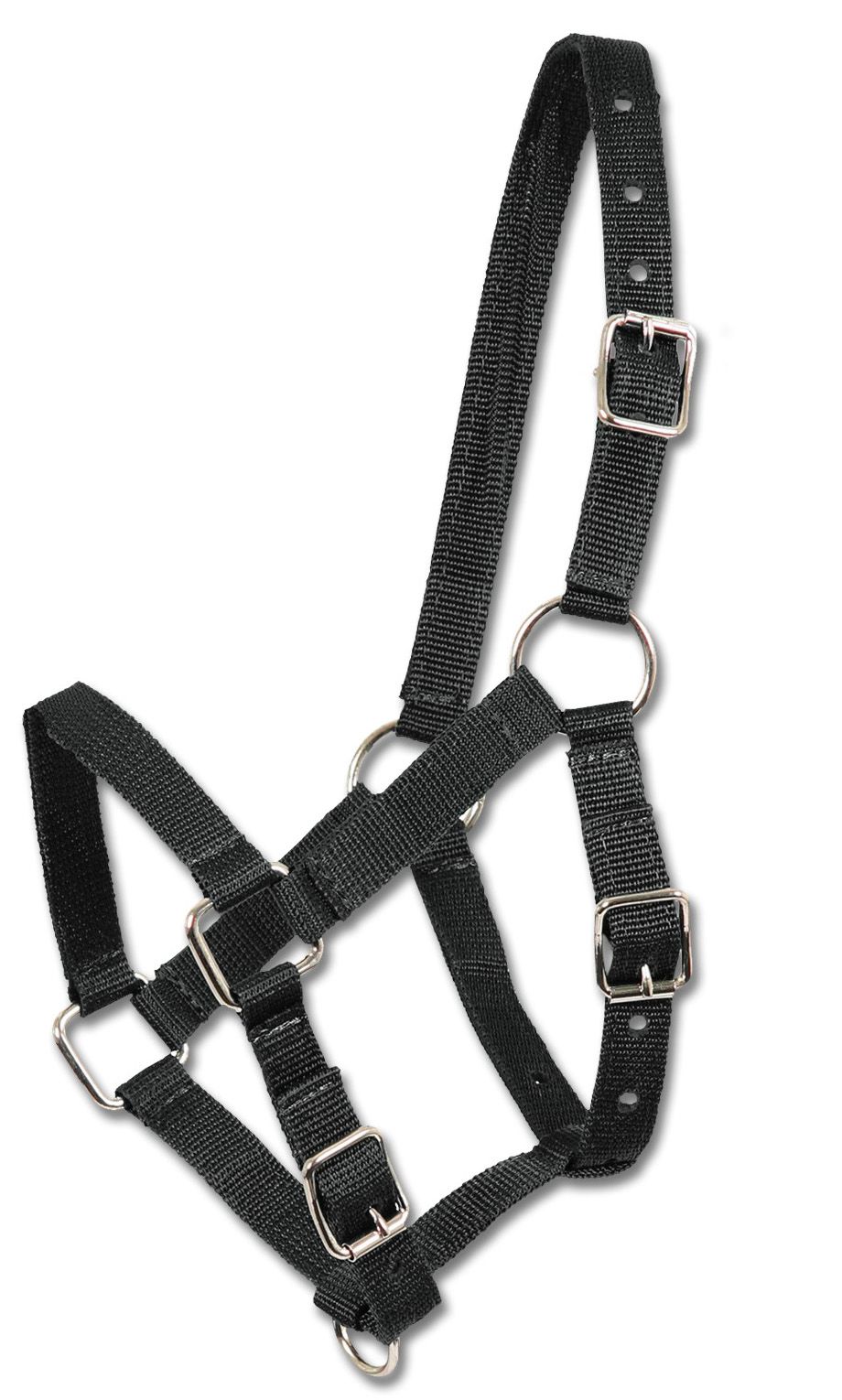 Schwarzes Fohlenhalfter mit silberfarbenen Schnallen und Ringen. Aus gewebtem Material.