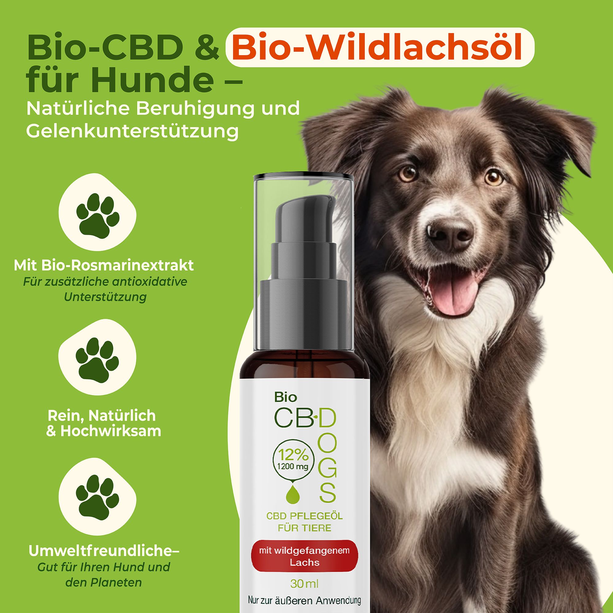 Produktflasche mit Hund. Text: Bio-CBD & Bio-Wildlachsöl für Hunde. Rein, natürlich & hochwirksam. Umweltfreundlich.
