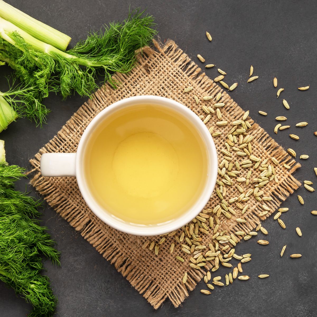 Tasse Tee, Fenchelsamen und -grün auf dunklem Untergrund. Auf einem Jutestoff.