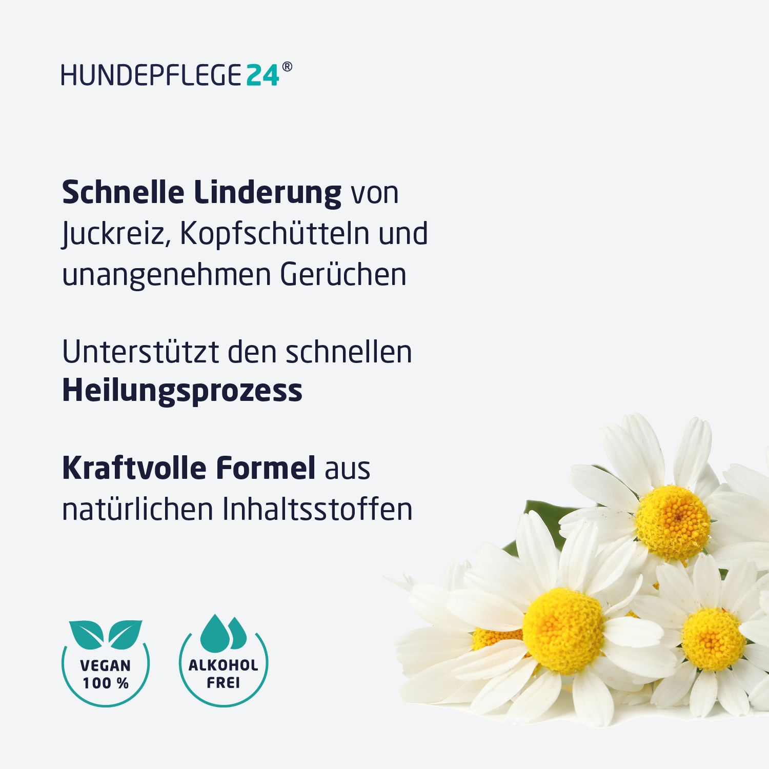 Text auf weißem Hintergrund: Schnelle Linderung, unterstützt Heilung, kraftvolle Formel. Vegan- und alkoholfrei-Symbole. Gänseblümchen.